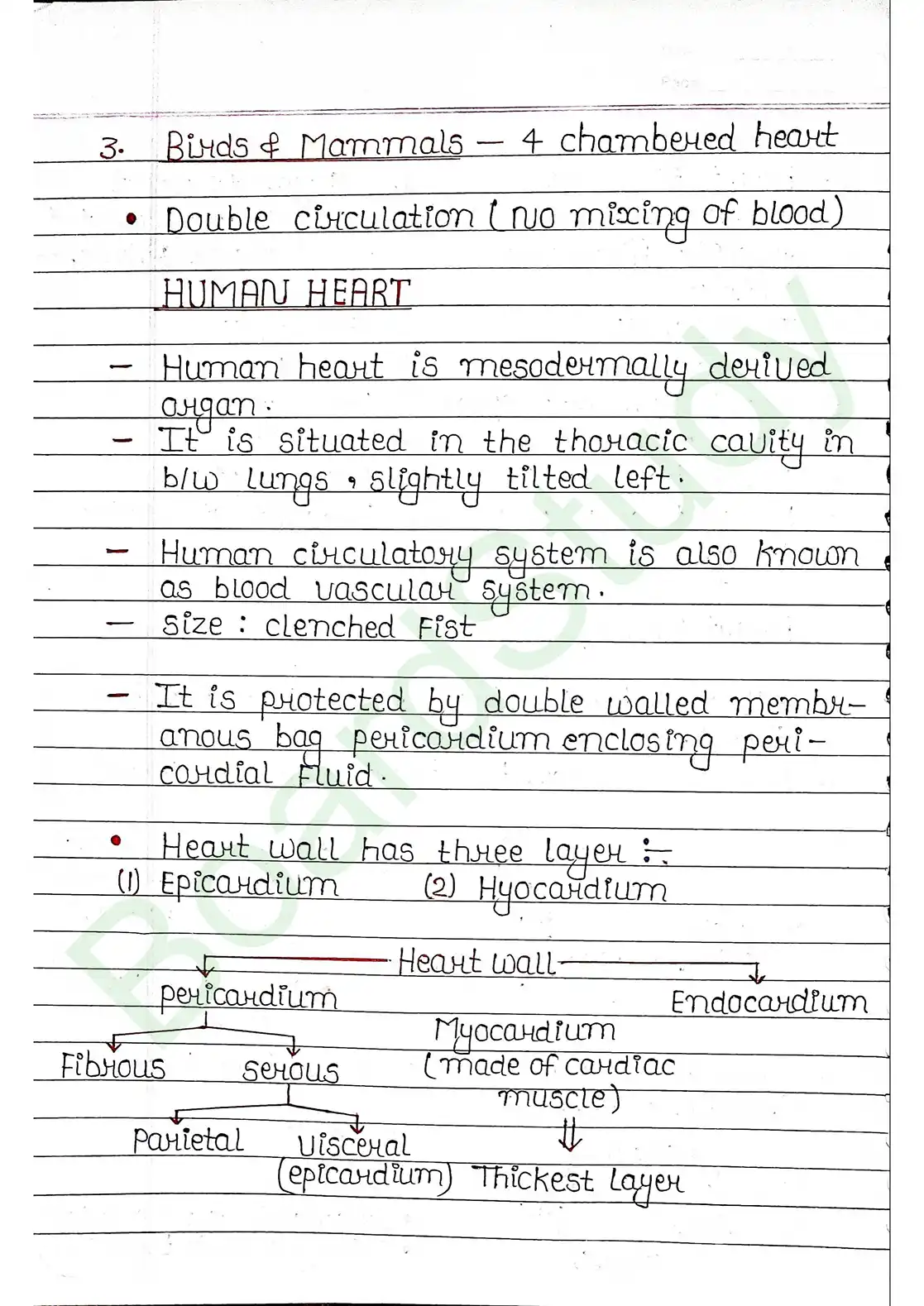15. Body fluids and circulation_page-0021