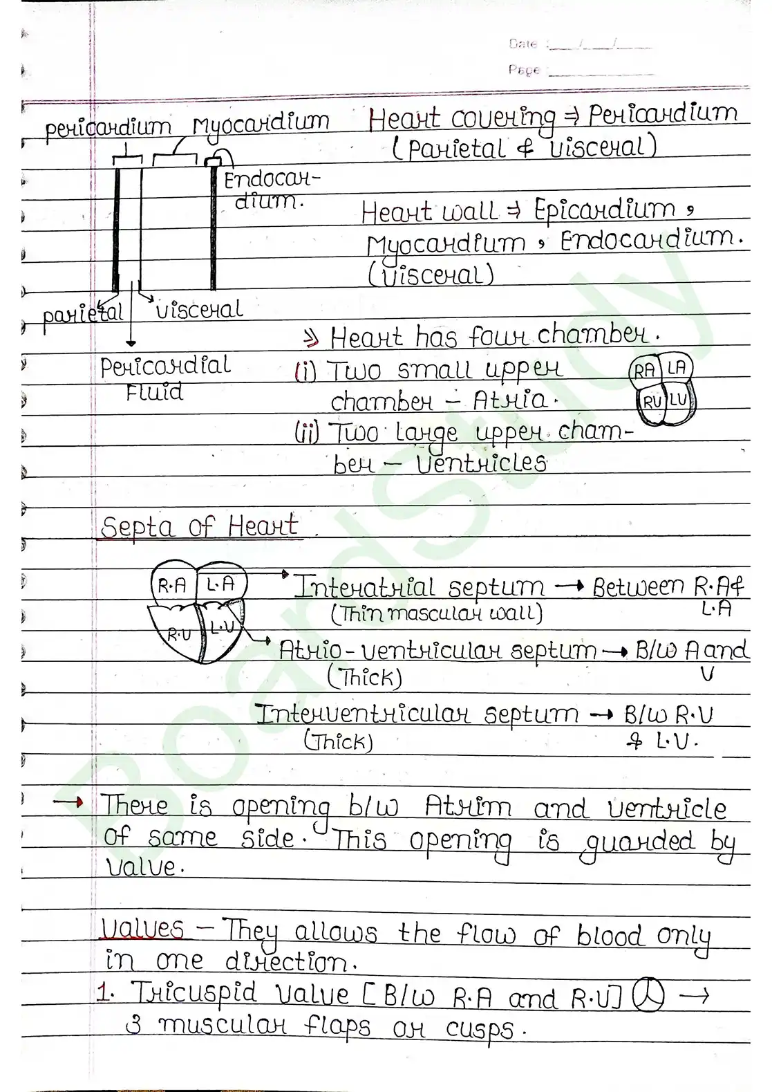 15. Body fluids and circulation_page-0022