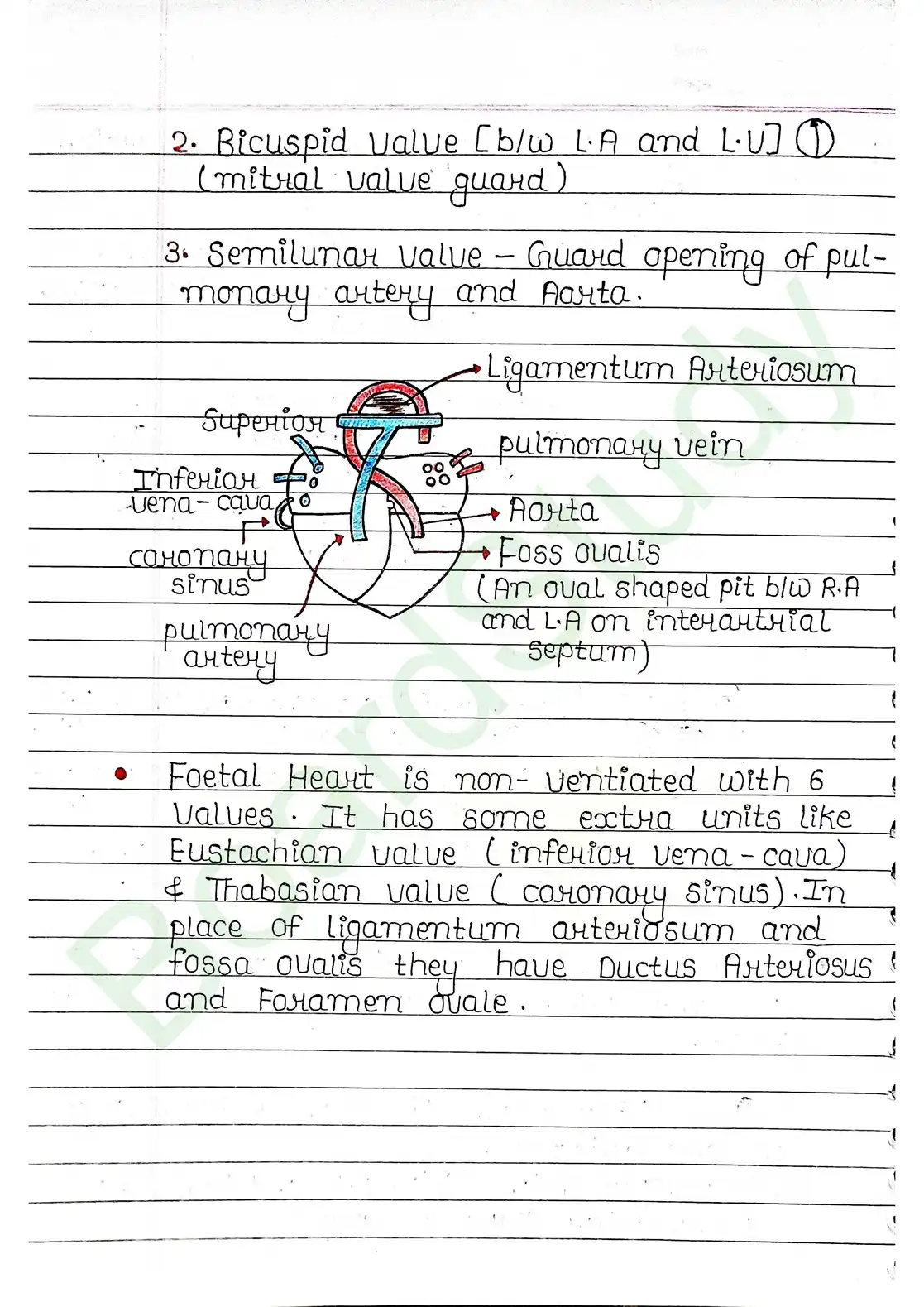 15. Body fluids and circulation_page-0023