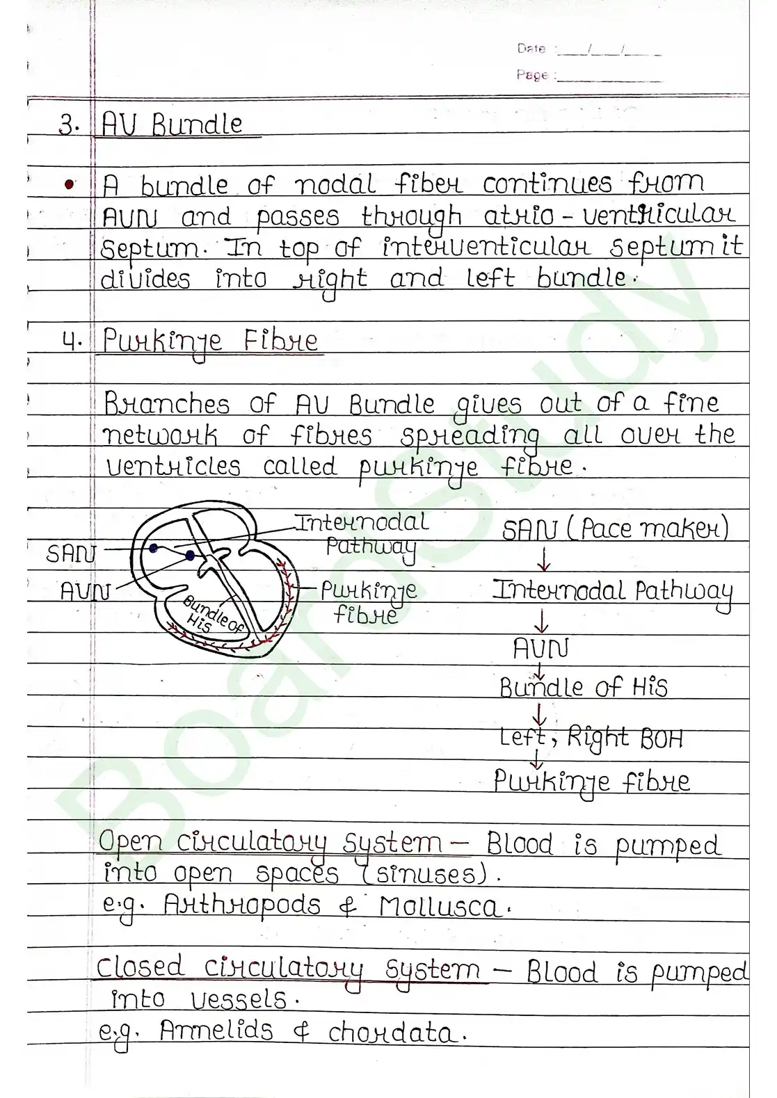 15. Body fluids and circulation_page-0026
