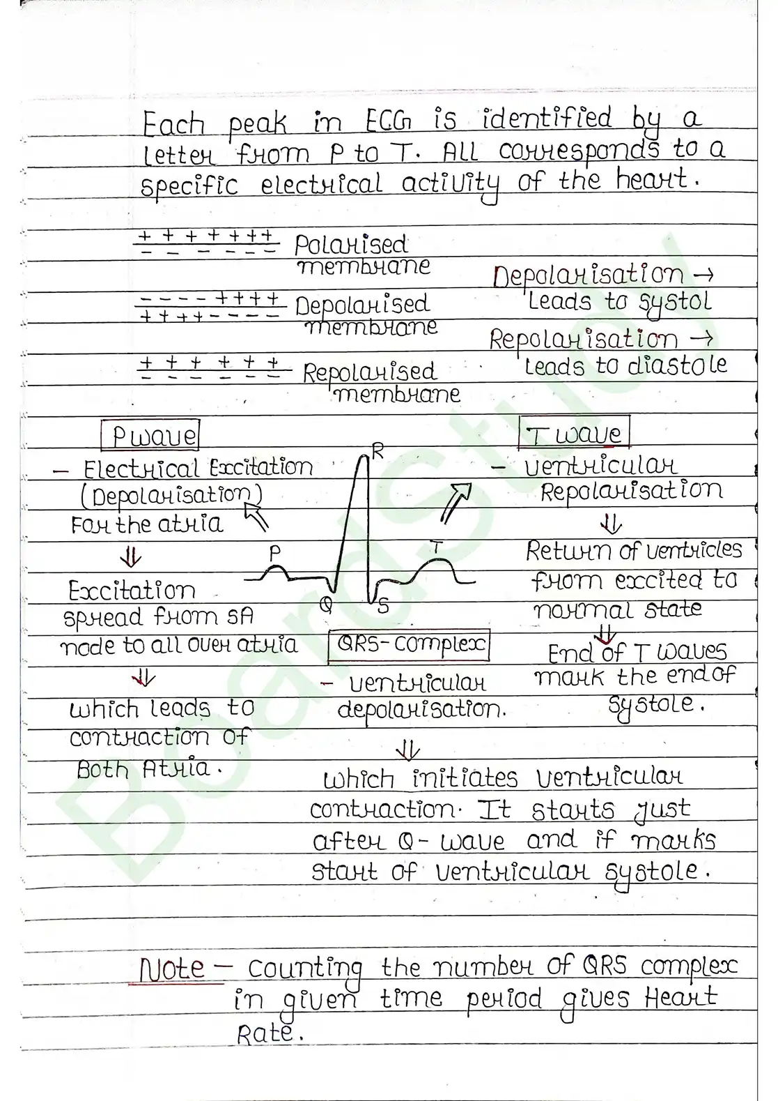 15. Body fluids and circulation_page-0031