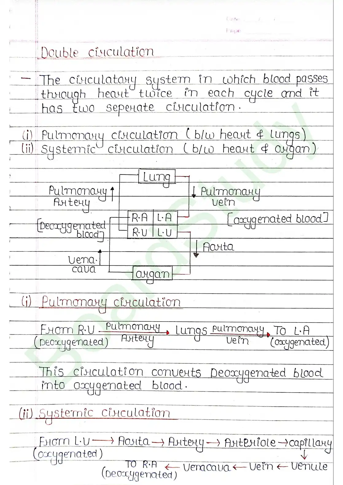15. Body fluids and circulation_page-0032