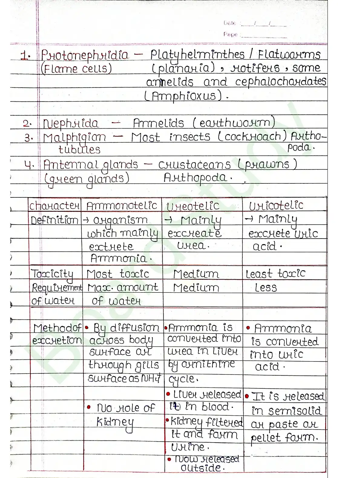 16. Excretor products & their elimination_compressed_page-0002