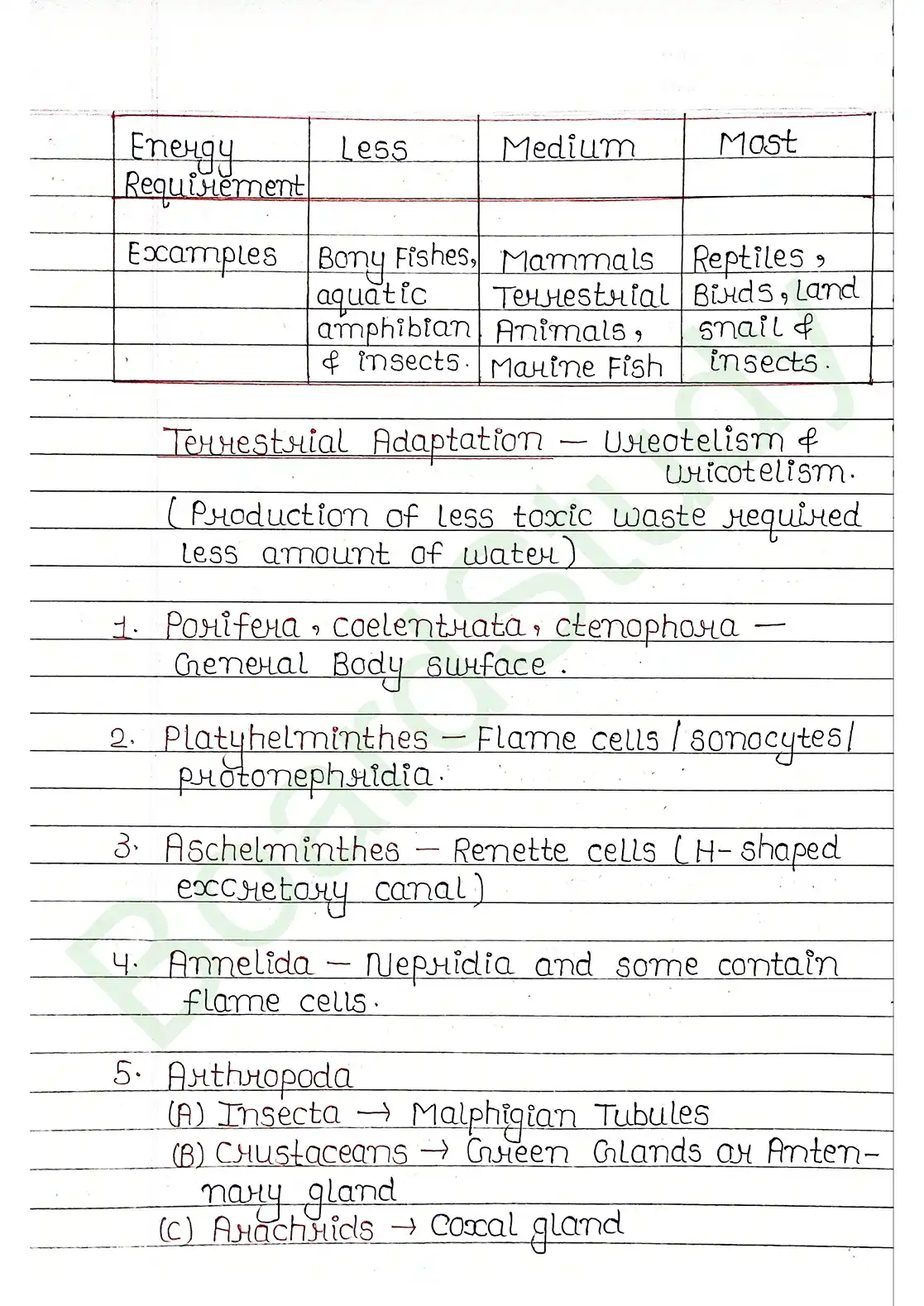16. Excretor products & their elimination_compressed_page-0003