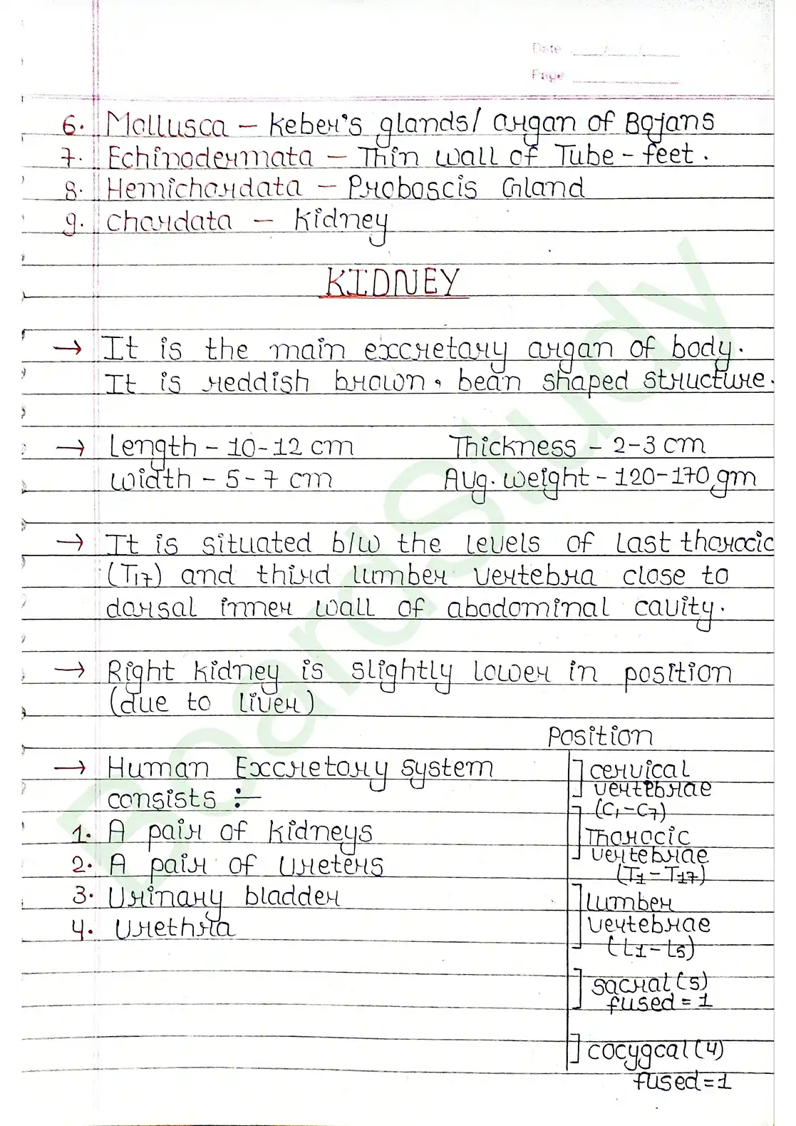 16. Excretor products & their elimination_compressed_page-0004