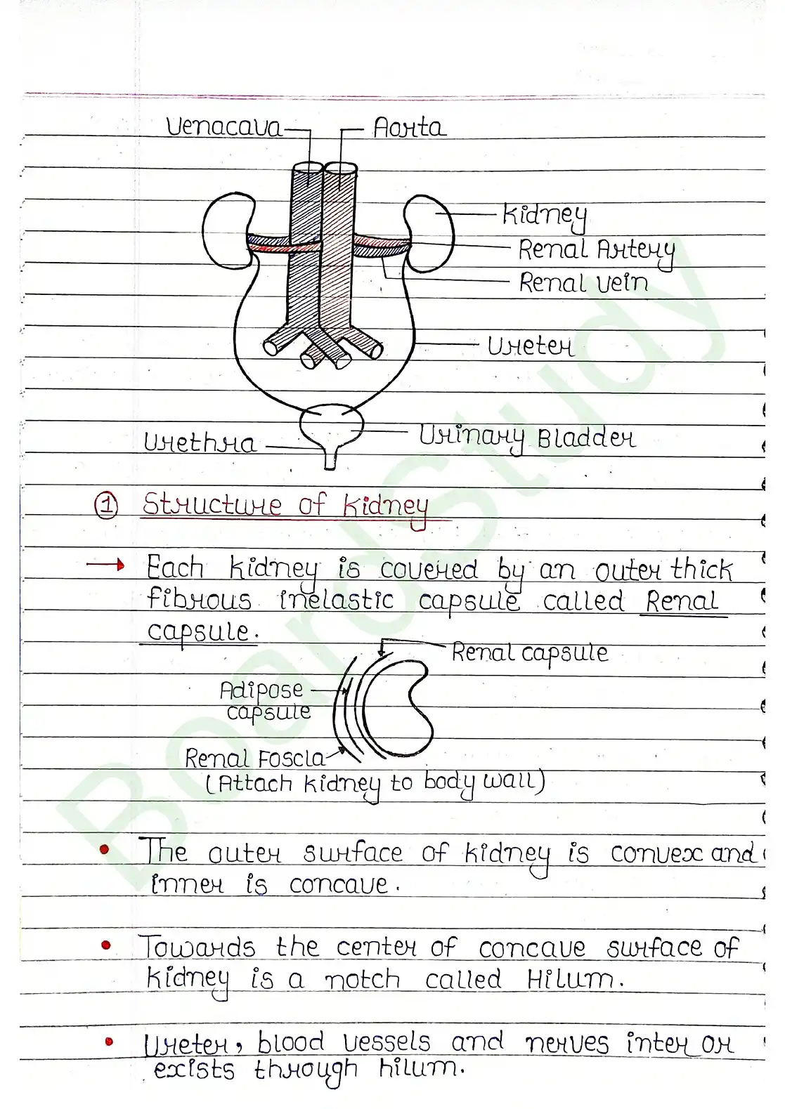 16. Excretor products & their elimination_compressed_page-0005