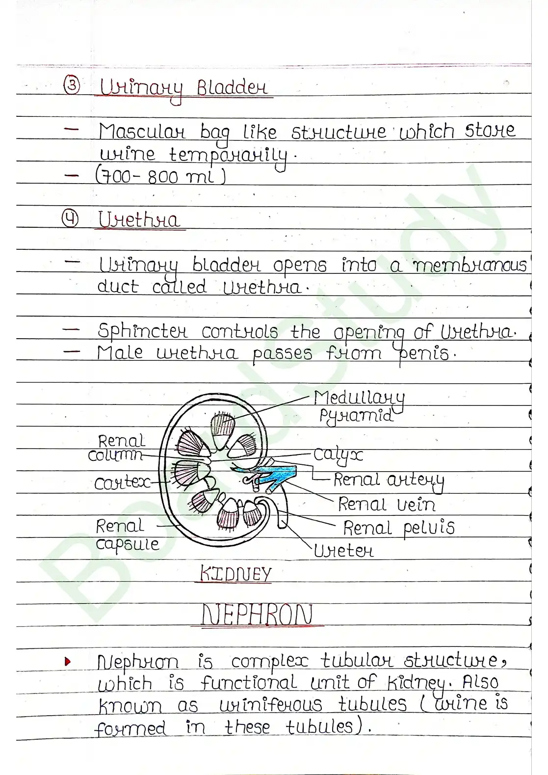 16. Excretor products & their elimination_compressed_page-0007