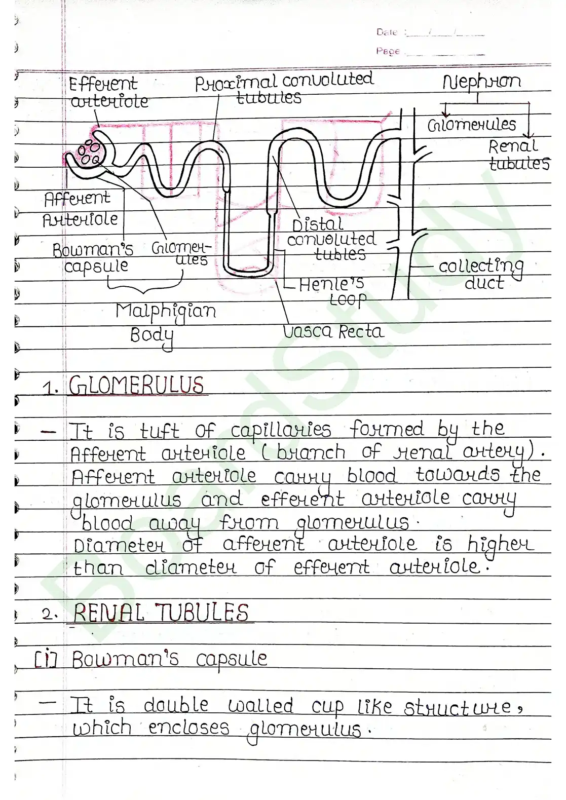 16. Excretor products & their elimination_compressed_page-0008