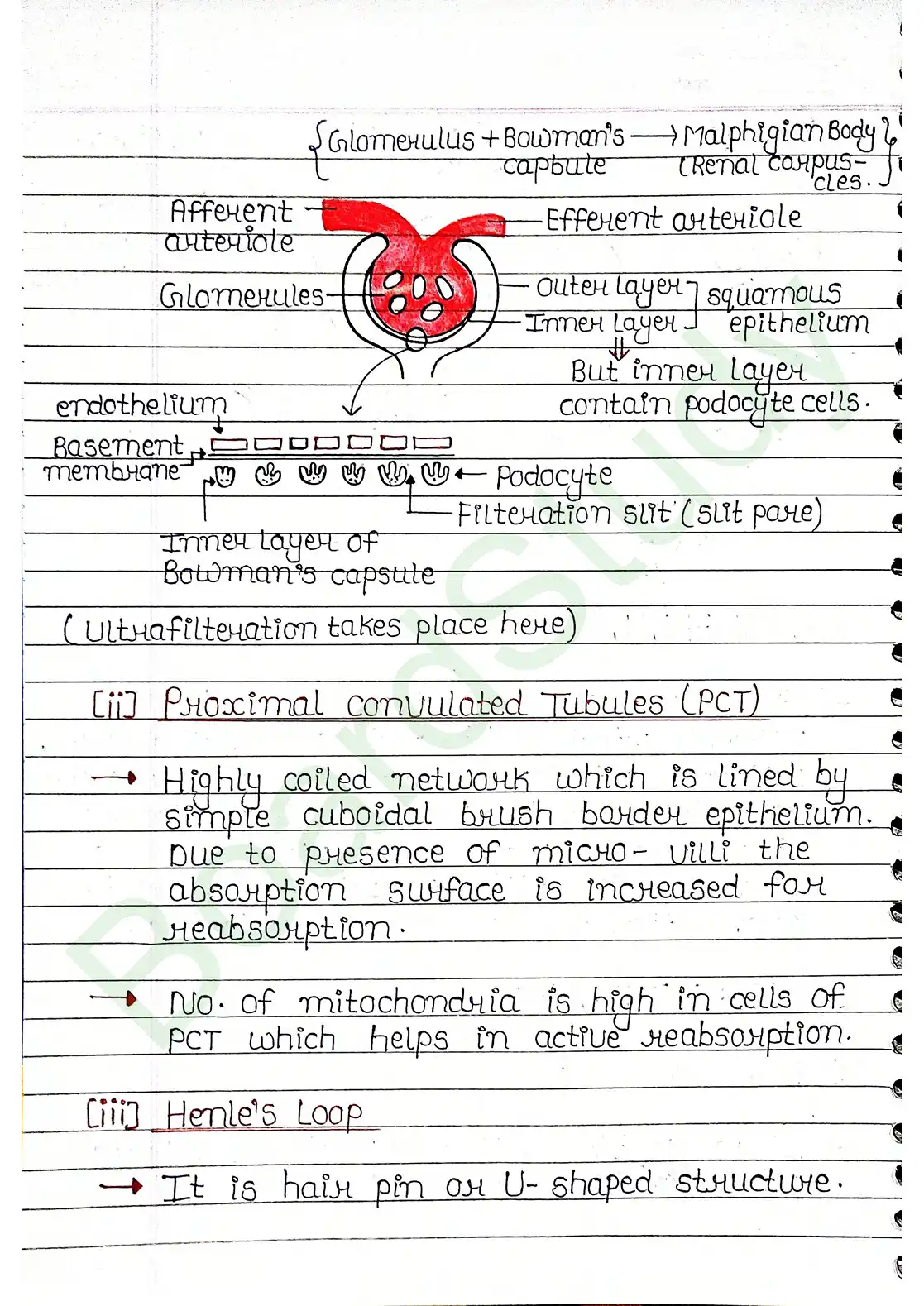 16. Excretor products & their elimination_compressed_page-0009