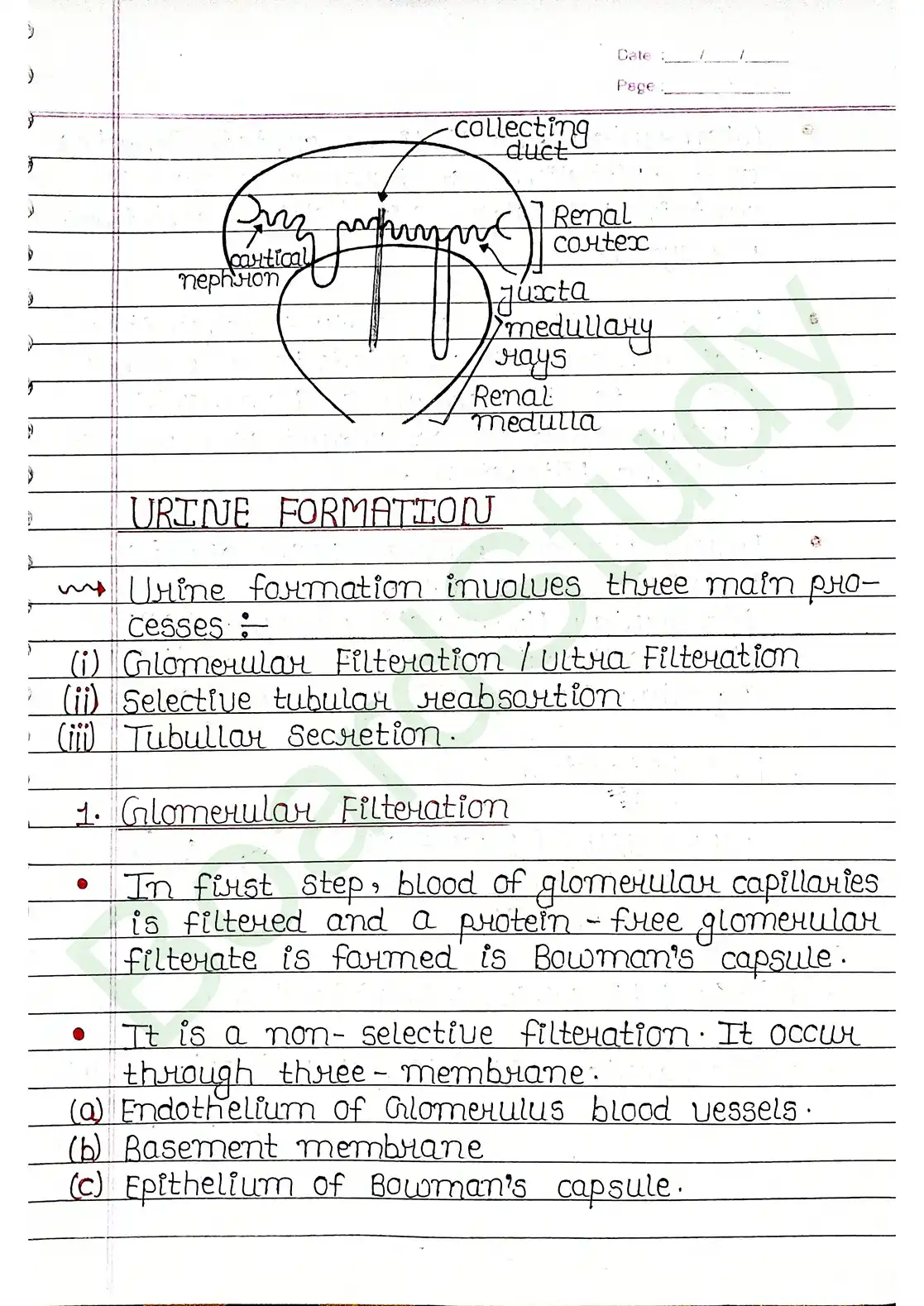 16. Excretor products & their elimination_compressed_page-0012