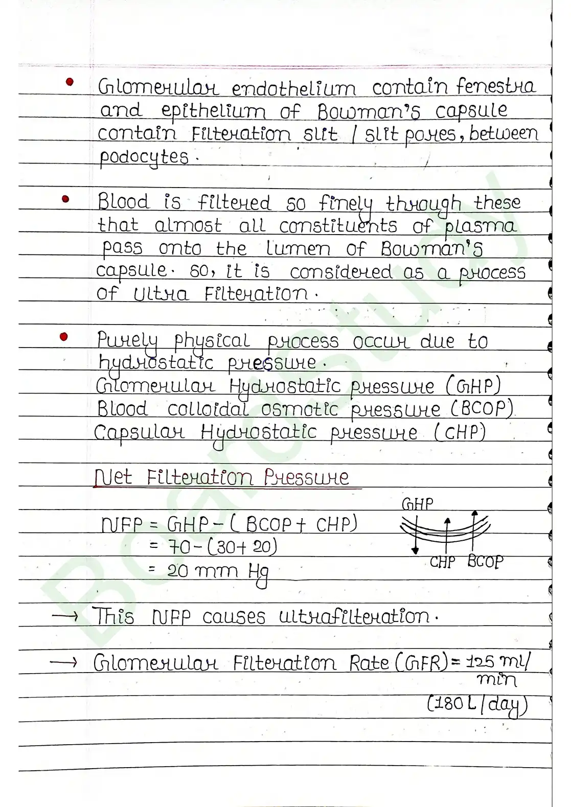 16. Excretor products & their elimination_compressed_page-0013