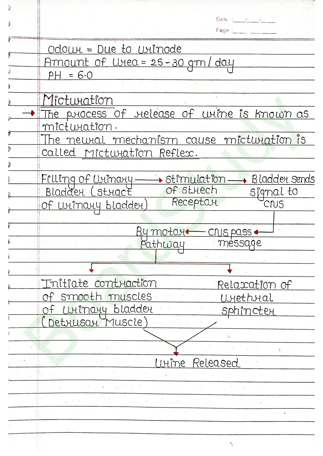 16. Excretor products & their elimination_compressed_page-0018