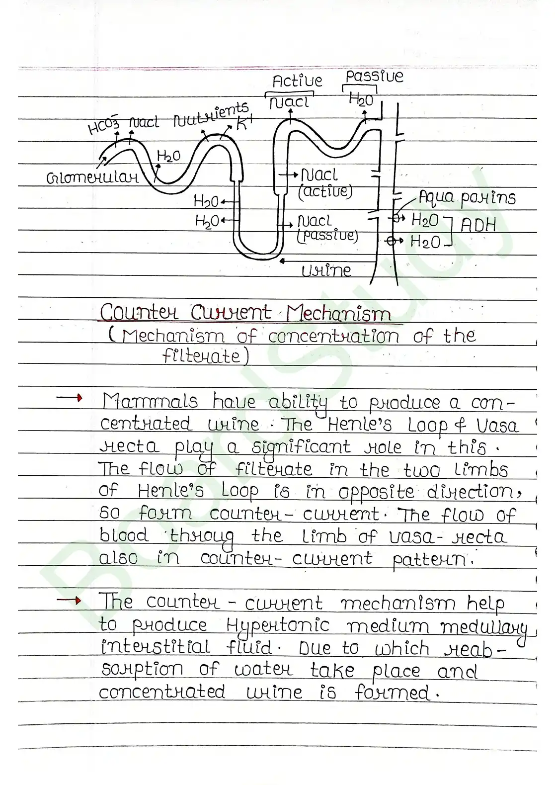 16. Excretor products & their elimination_compressed_page-0019