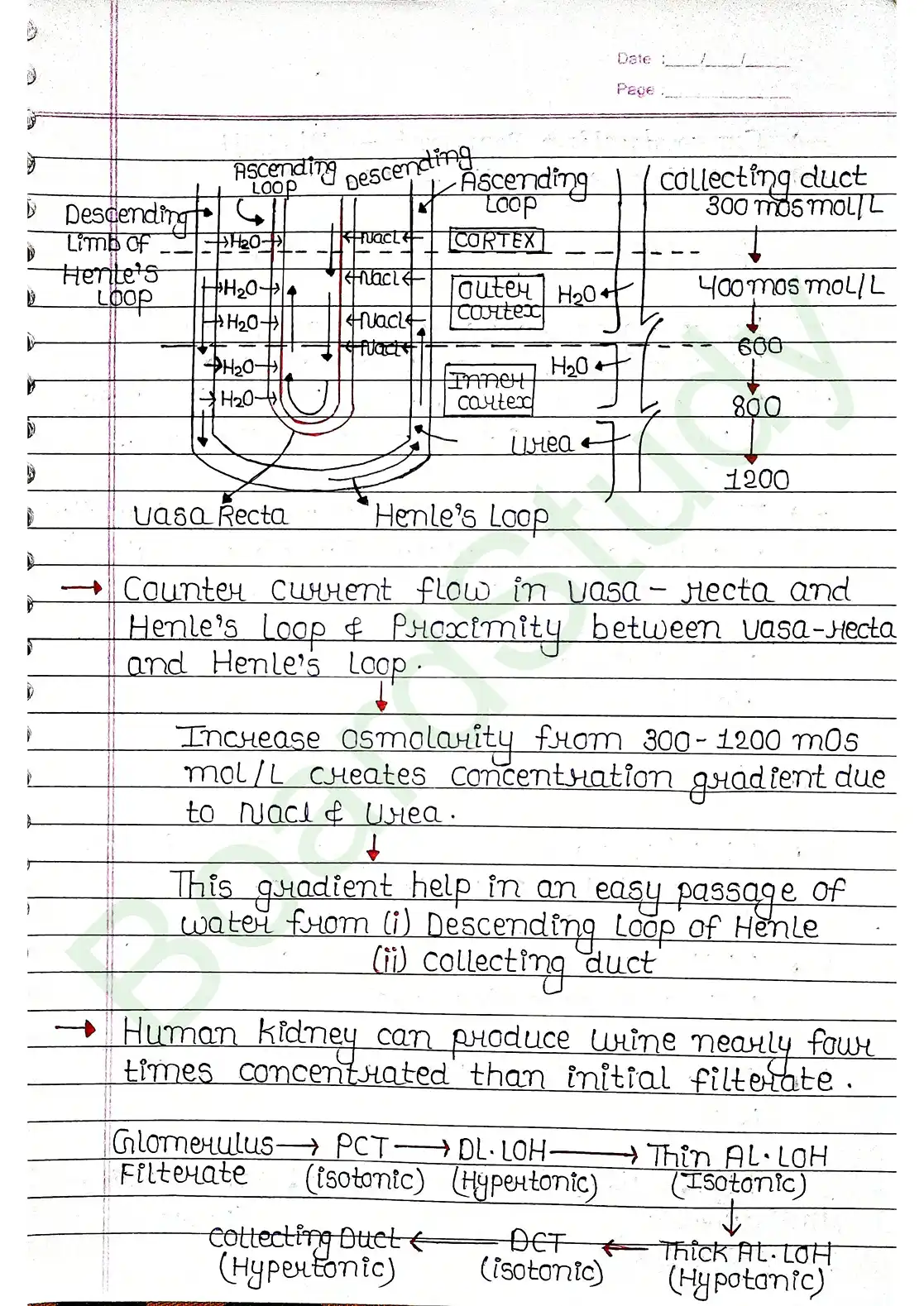 16. Excretor products & their elimination_compressed_page-0020