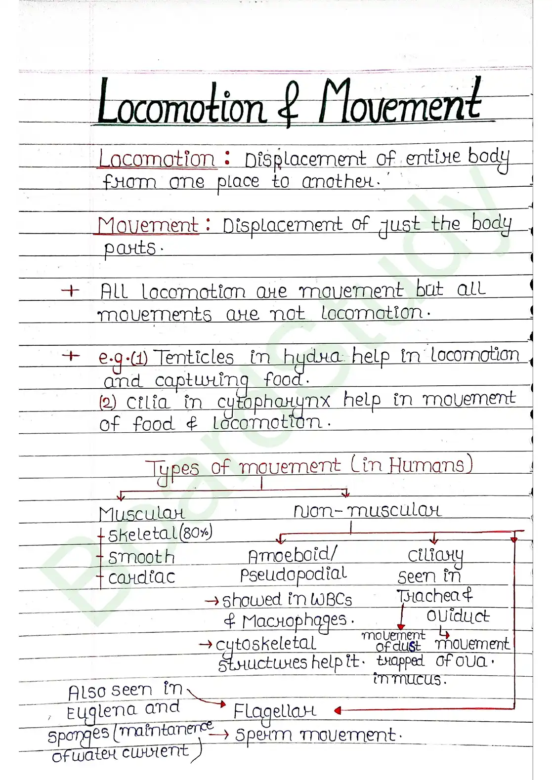 17. Locomotion & Movement_page-0001