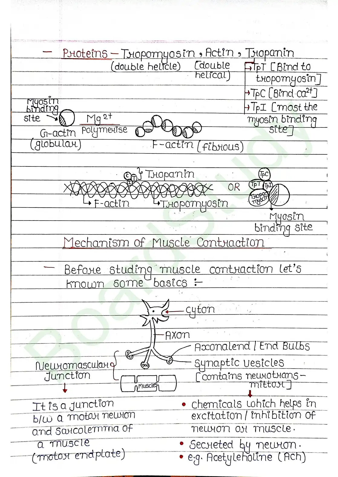 17. Locomotion & Movement_page-0007