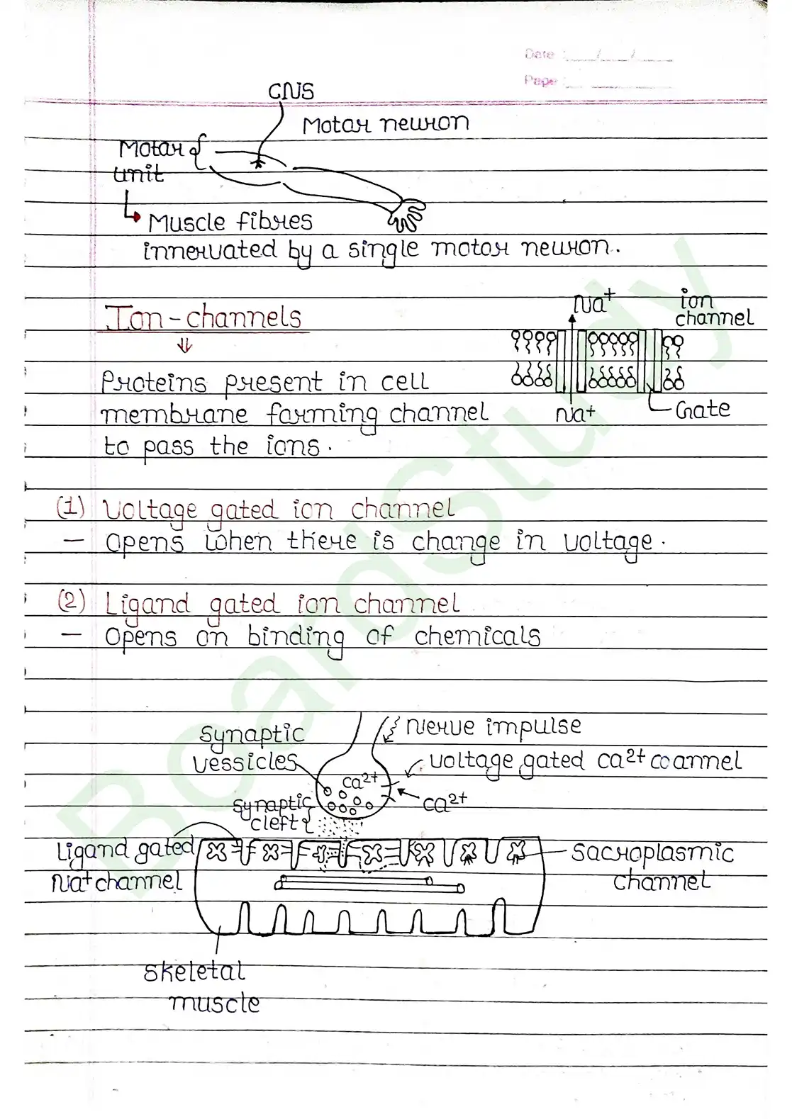 17. Locomotion & Movement_page-0008