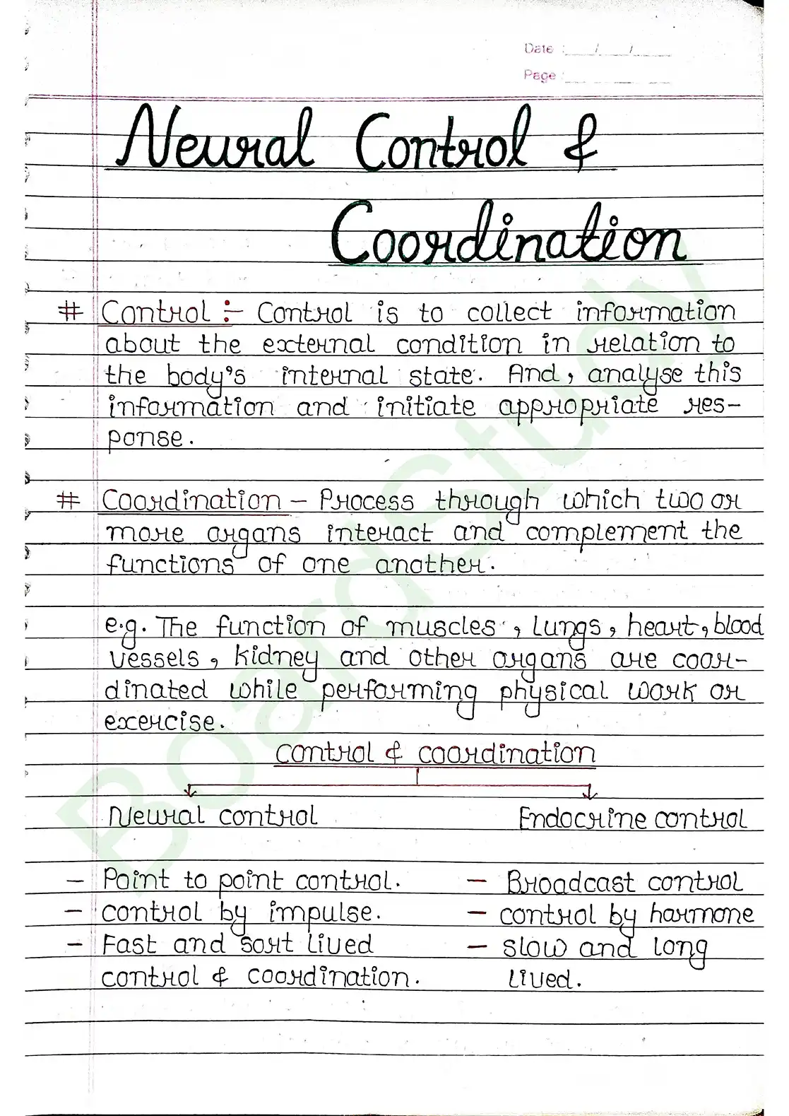 18. Neural control & Coordination_page-0001