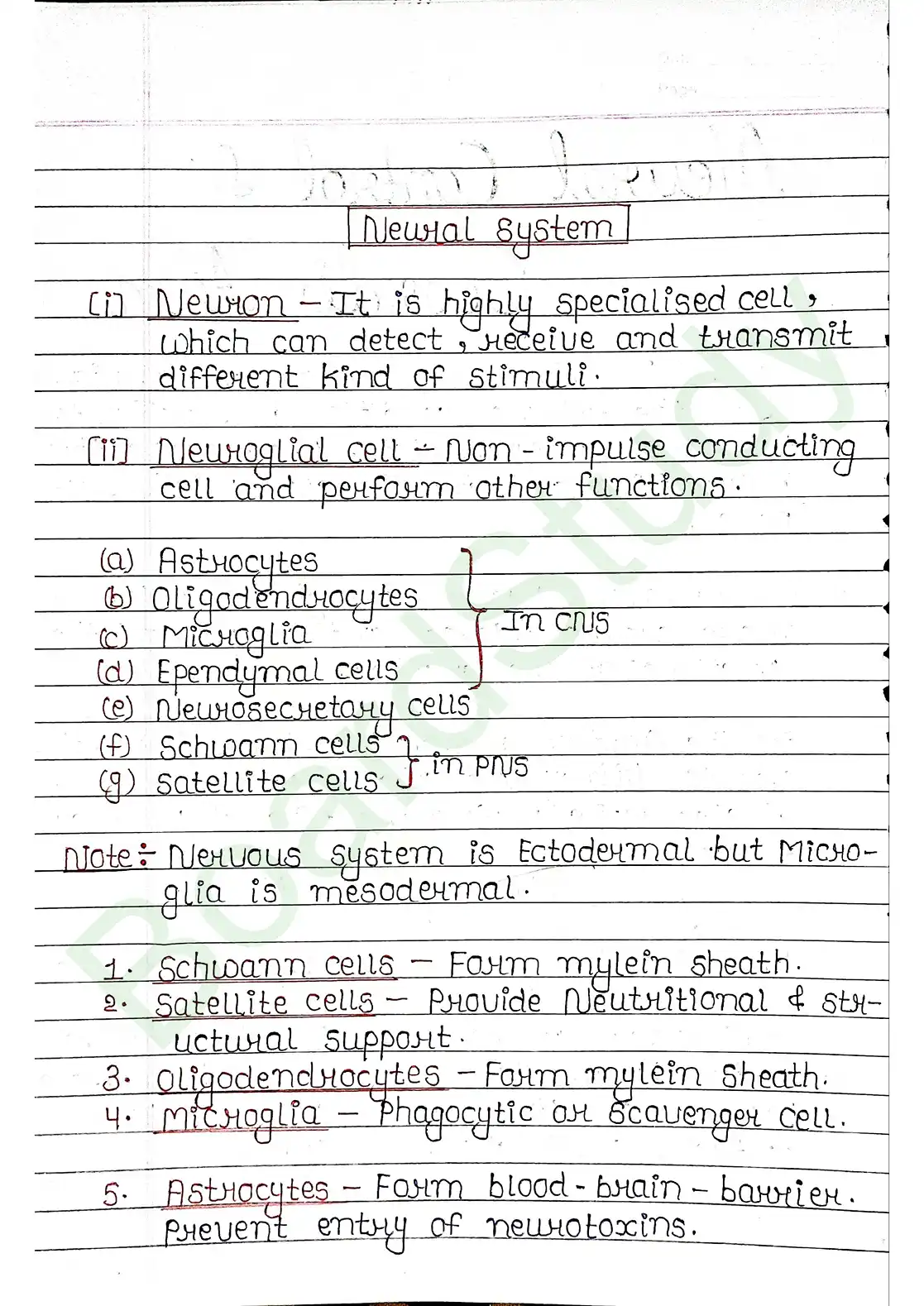 18. Neac18. Neural control & Coordination_page-0001ural control & Coordination_page-0002