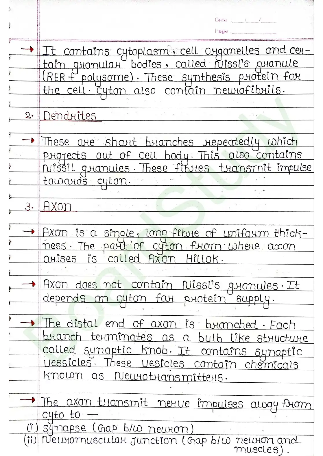 18. Neural control & Coordination_page-0005
