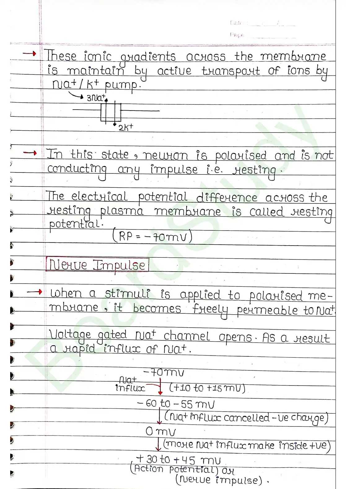 18. Neural control & Coordination_page-0009