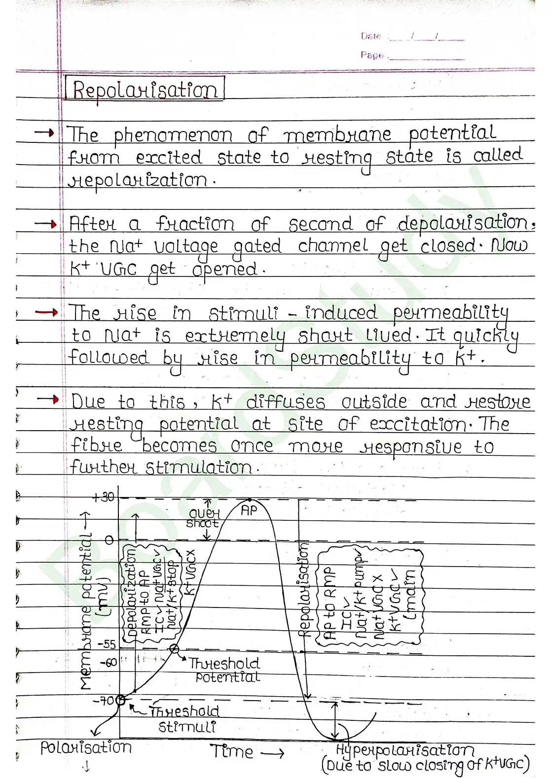 18. Neural control & Coordination_page-0011