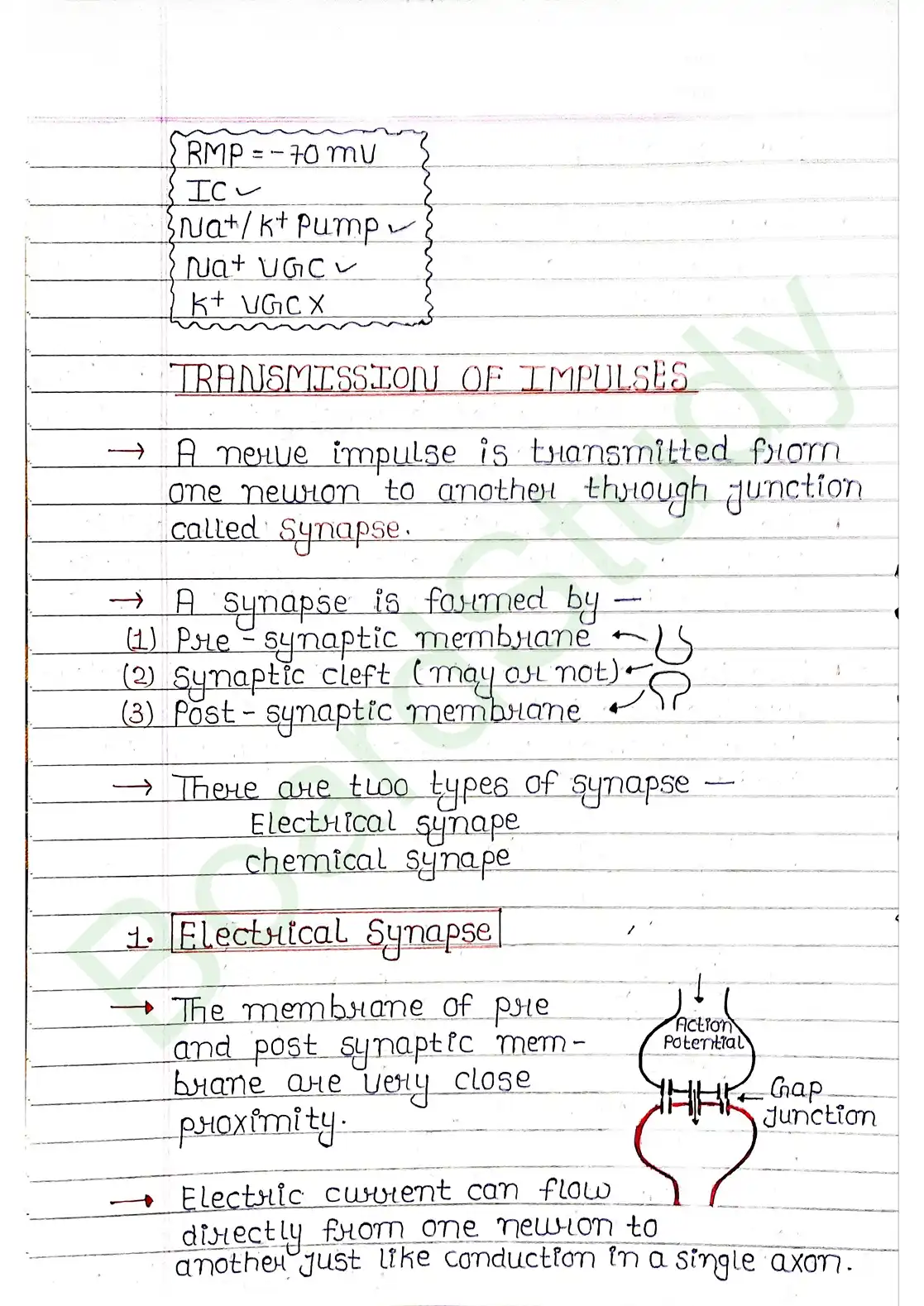 18. Neural control & Coordination_page-0012