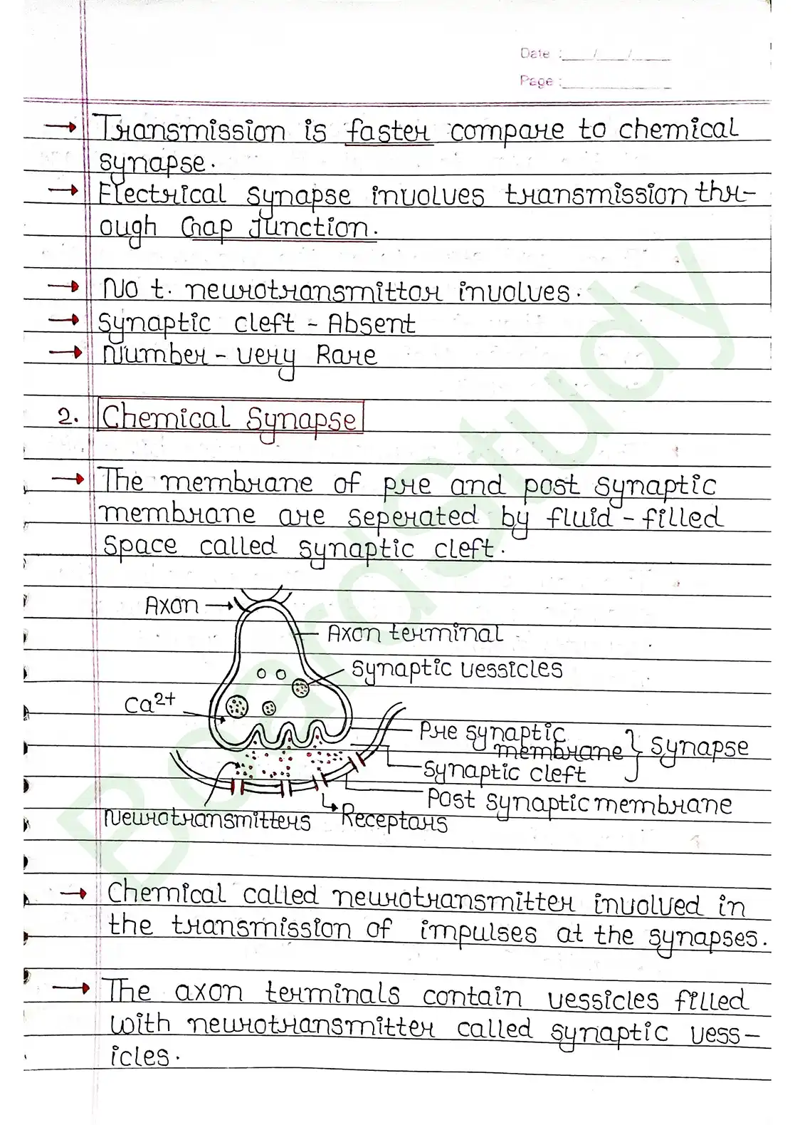 18. Neural control & Coordination_page-0013