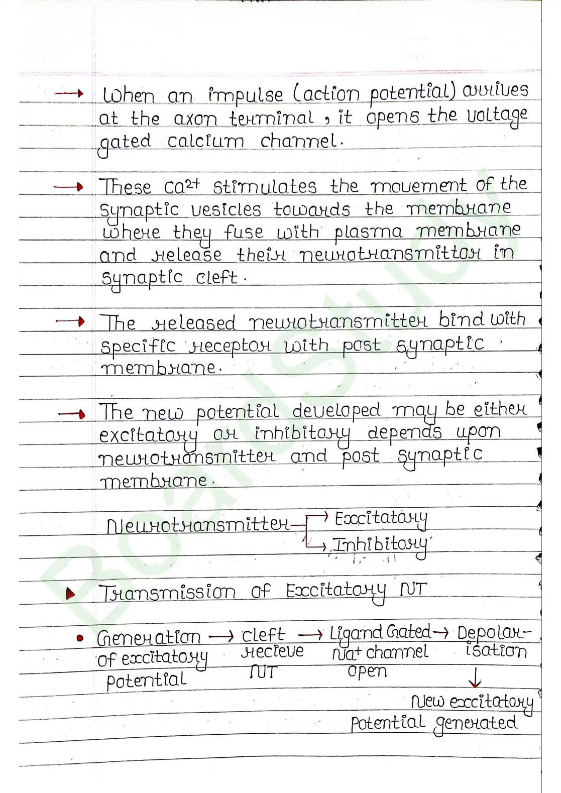 18. Neural control & Coordination_page-0014