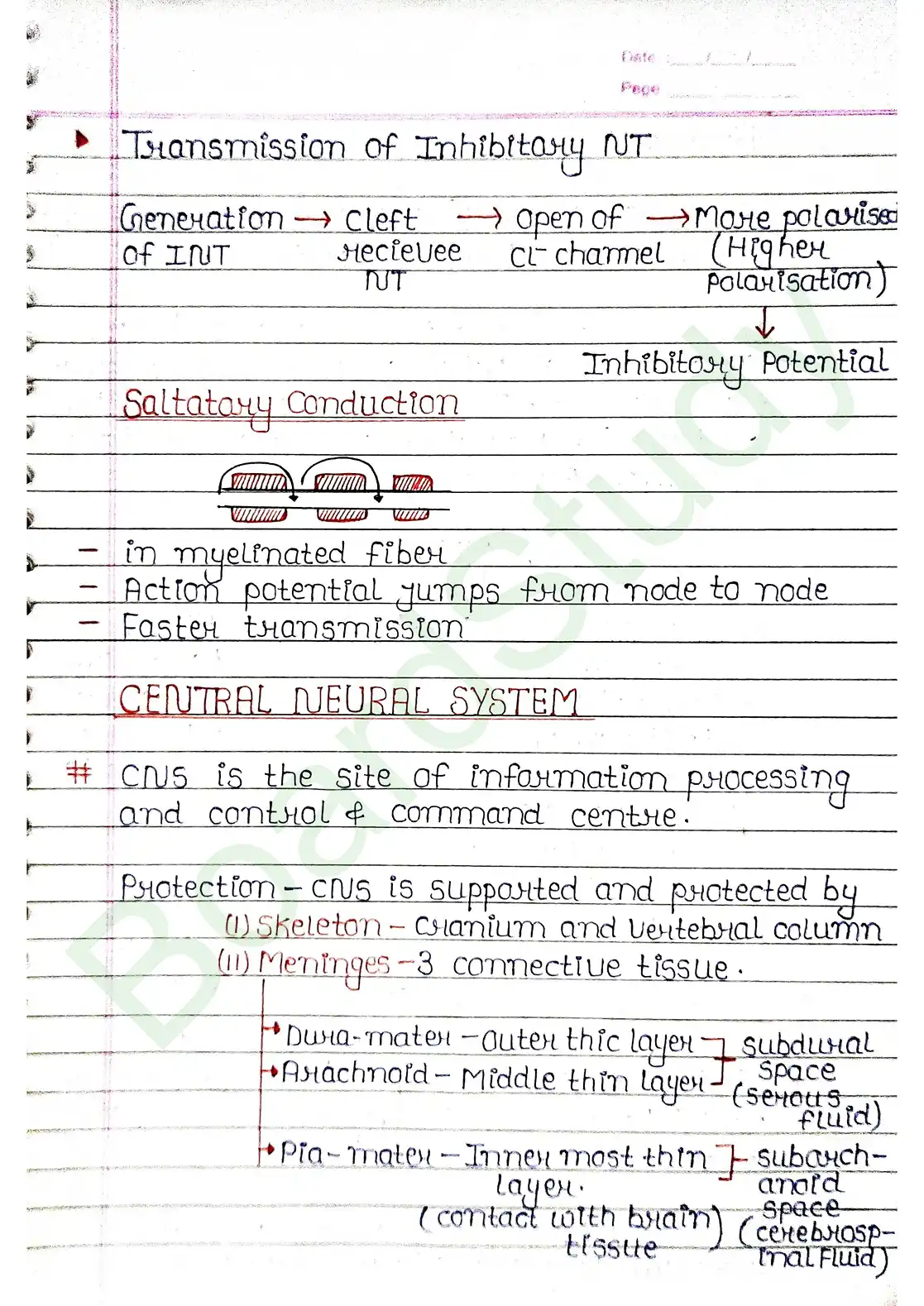 18. Neural control & Coordination_page-0015