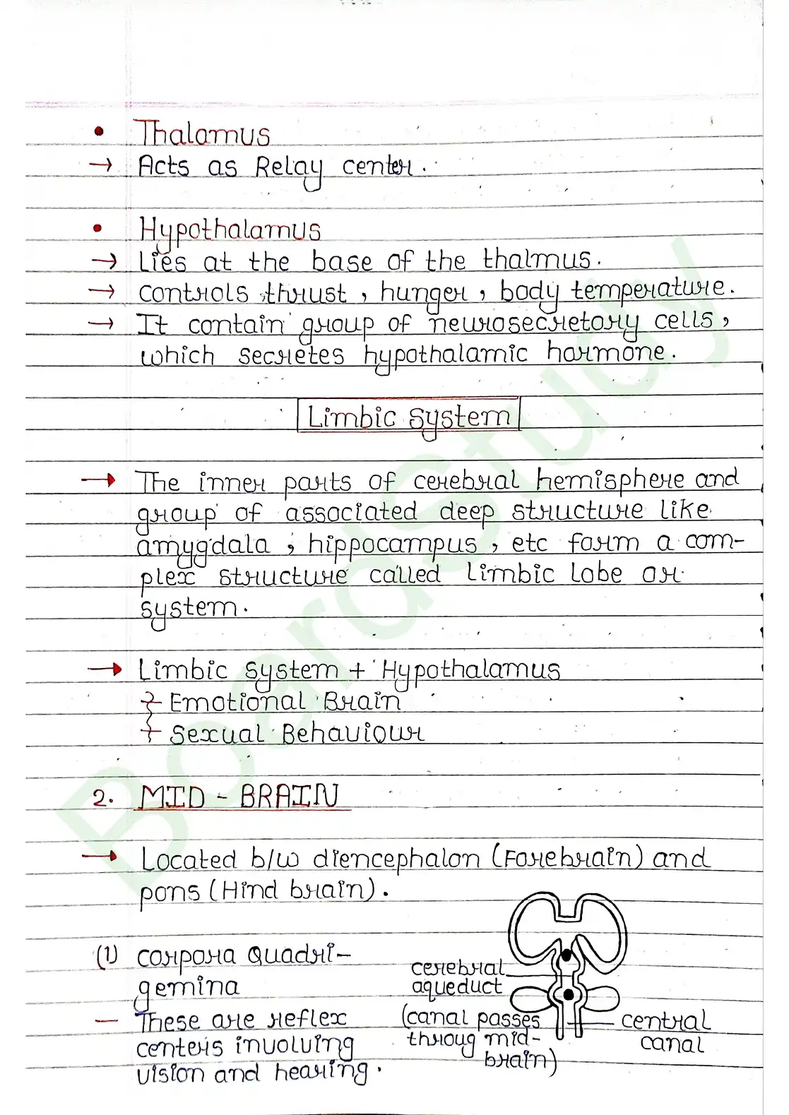 18. Neural control & Coordination_page-0018