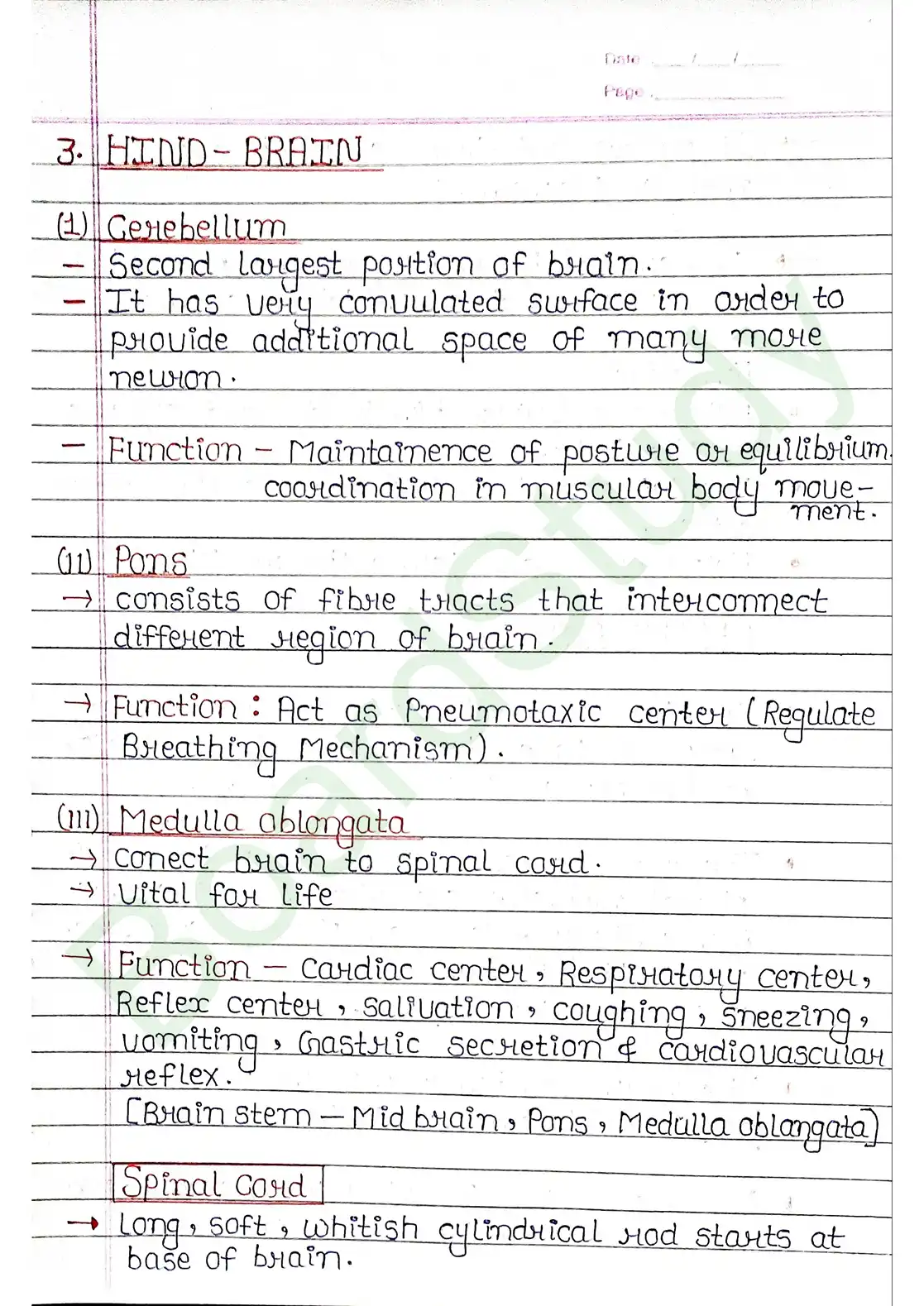 18. Neural control & Coordination_page-0019