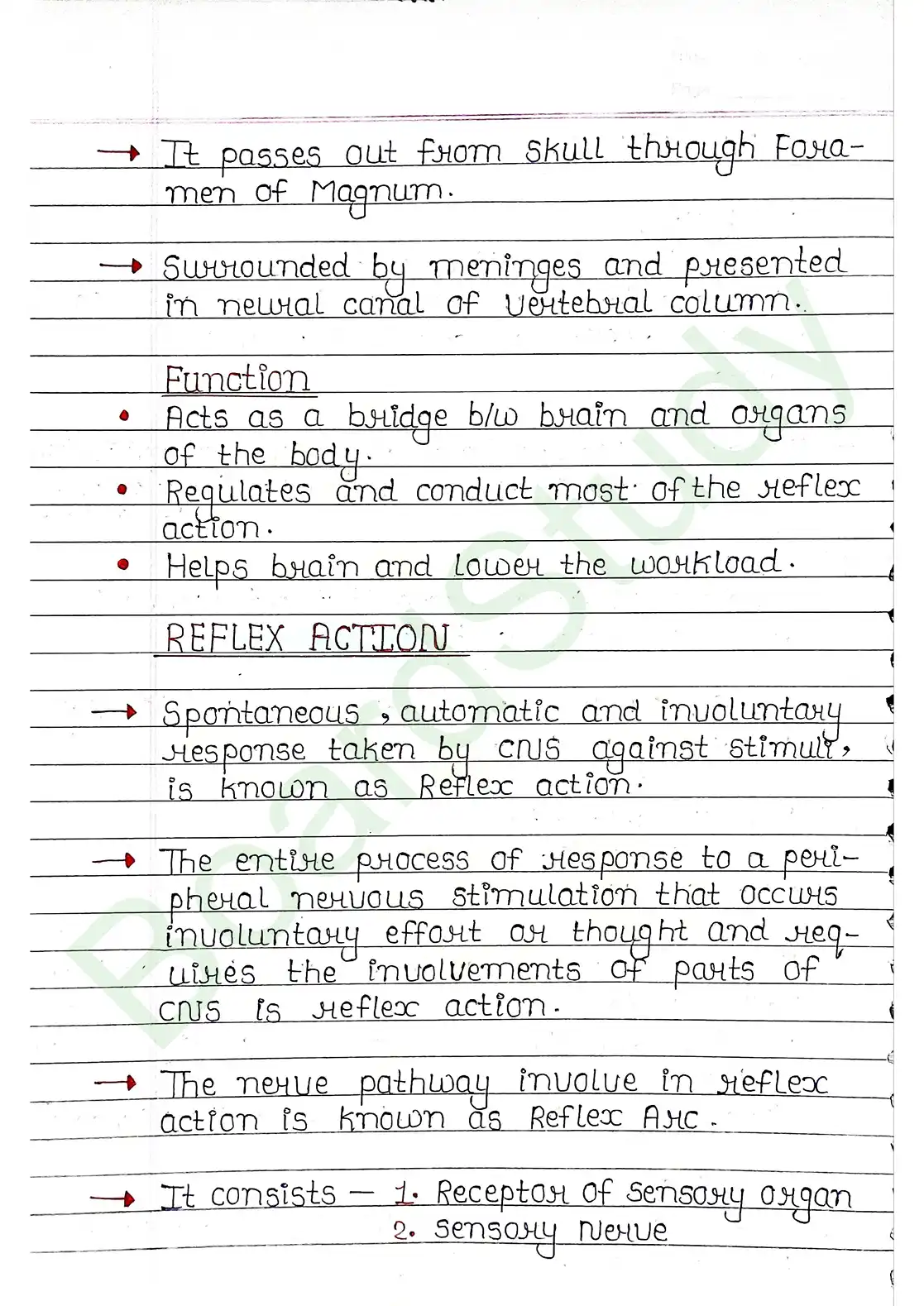 18. Neural control & Coordination_page-0020