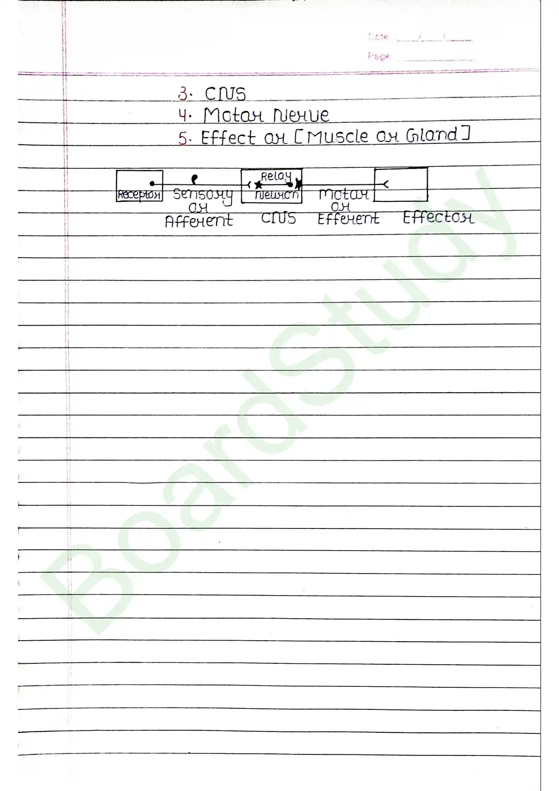 18. Neural control & Coordination_page-0021