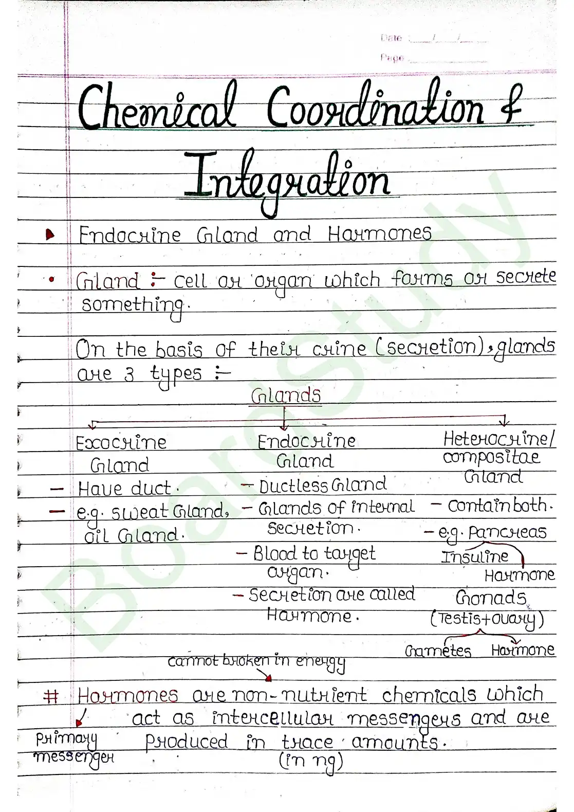 19. Chemical coordination & integration_page-0001
