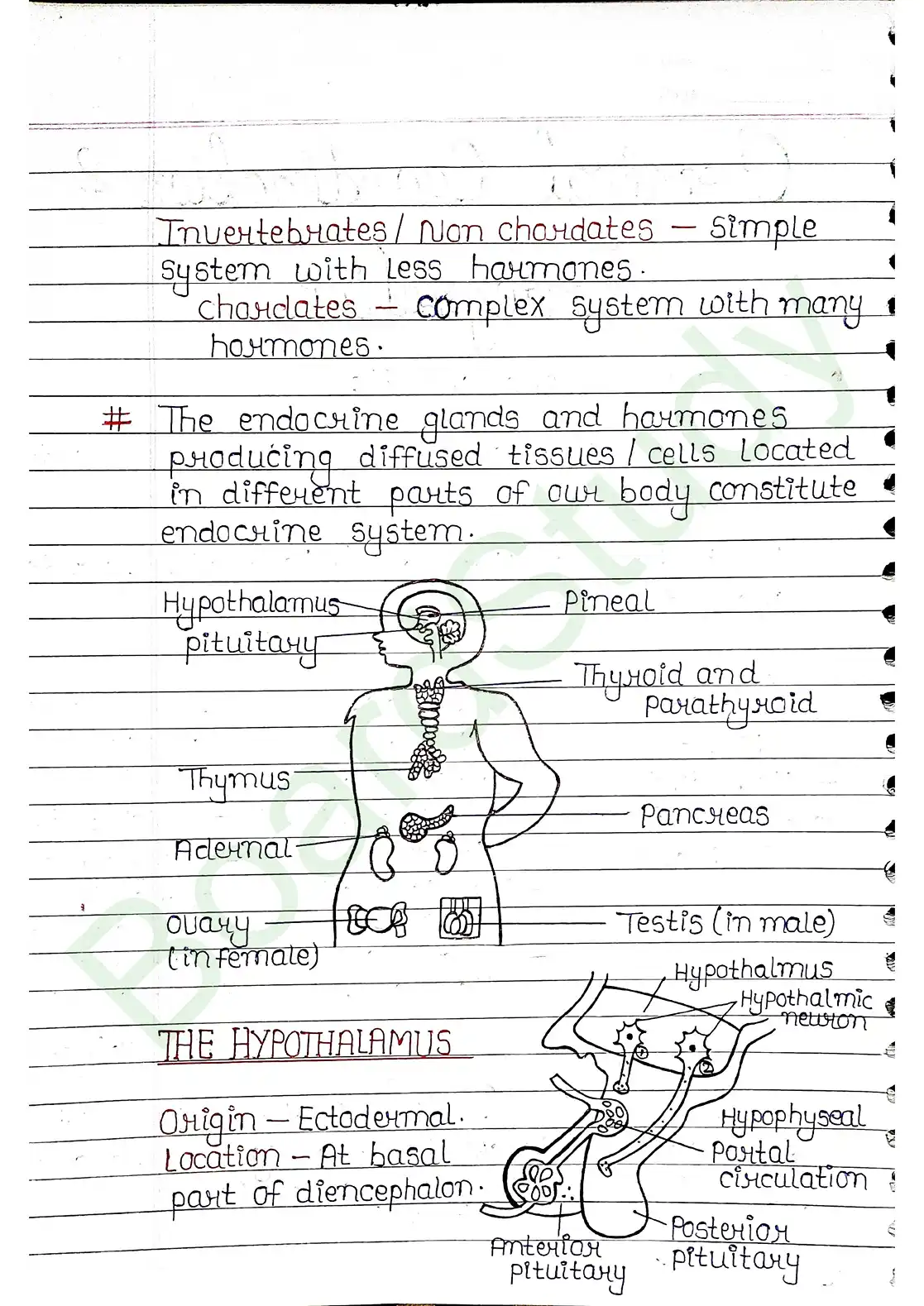 19. Chemical coordination & integration_page-0002