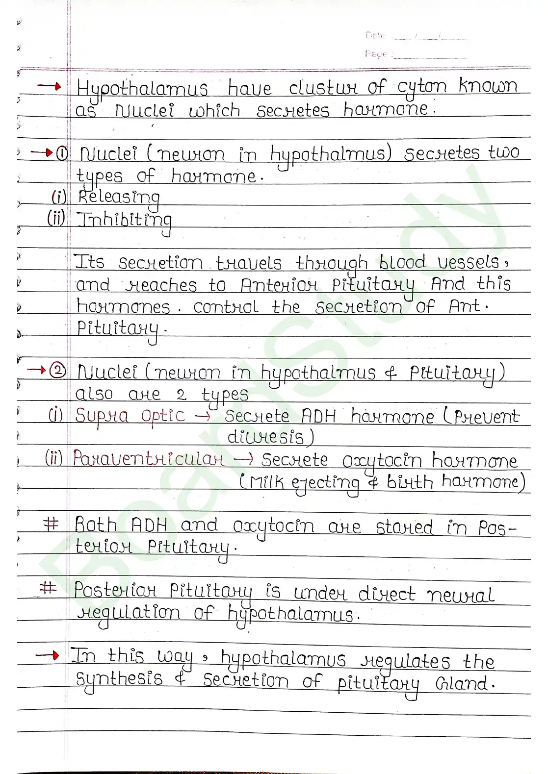 19. Chemical coordination & integration_page-0003