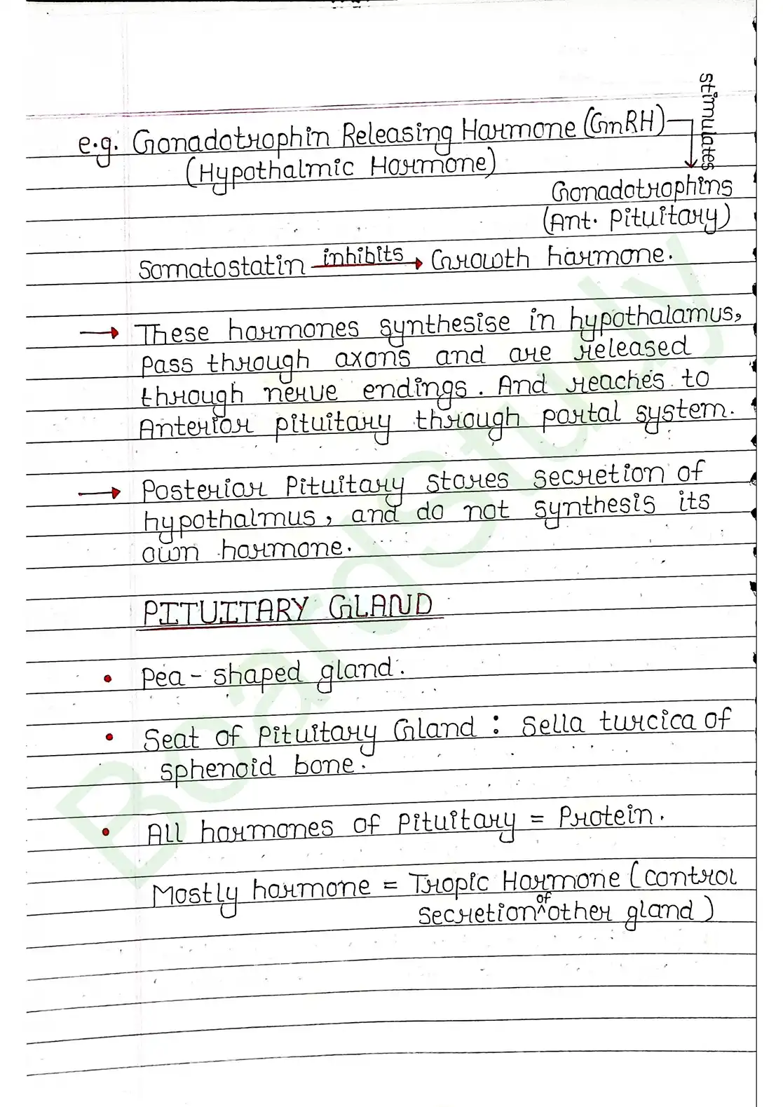 19. Chemical coordination & integration_page-0004