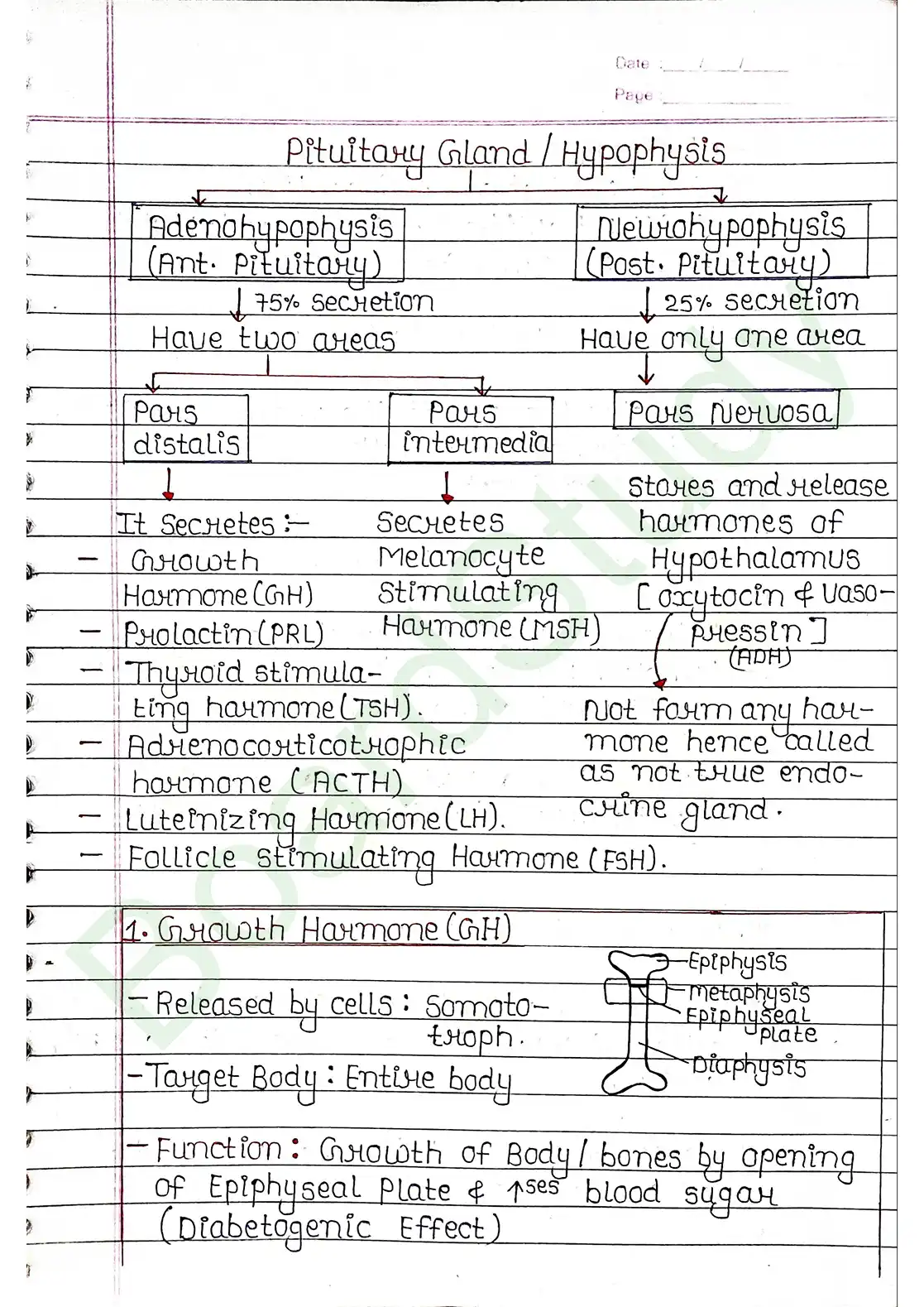 19. Chemical coordination & integration_page-0005