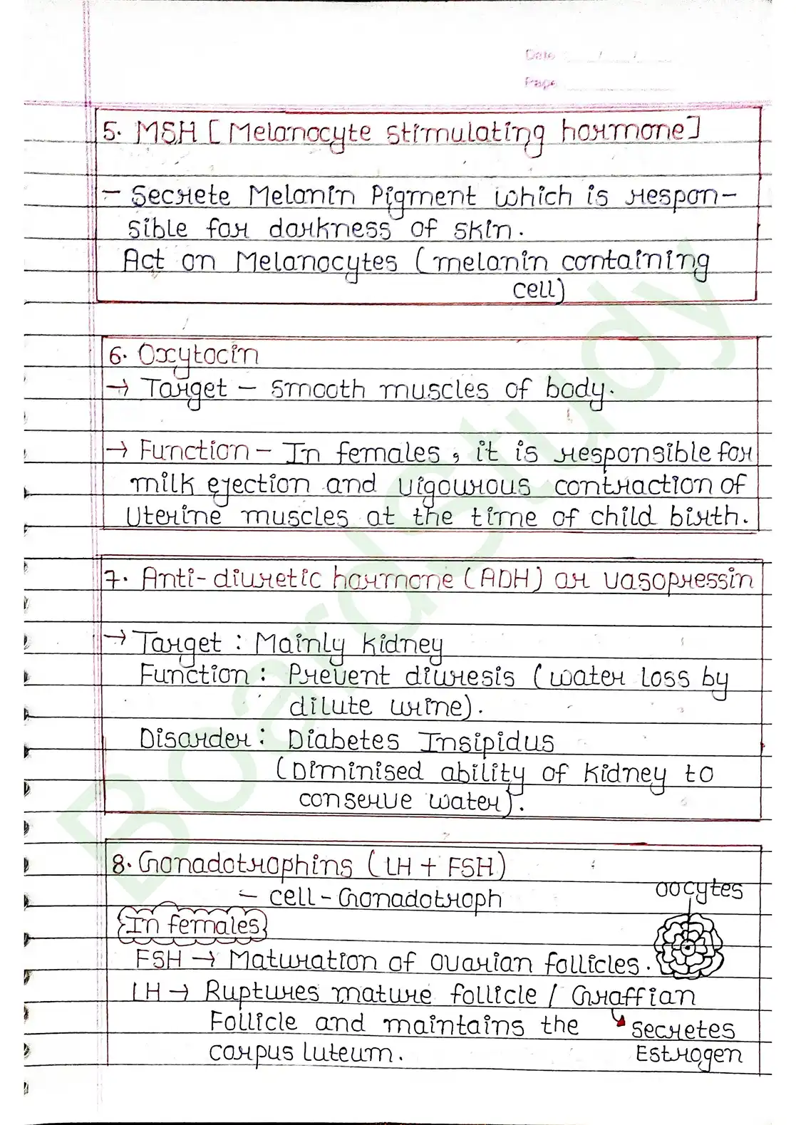 19. Chemical coordination & integration_page-0007