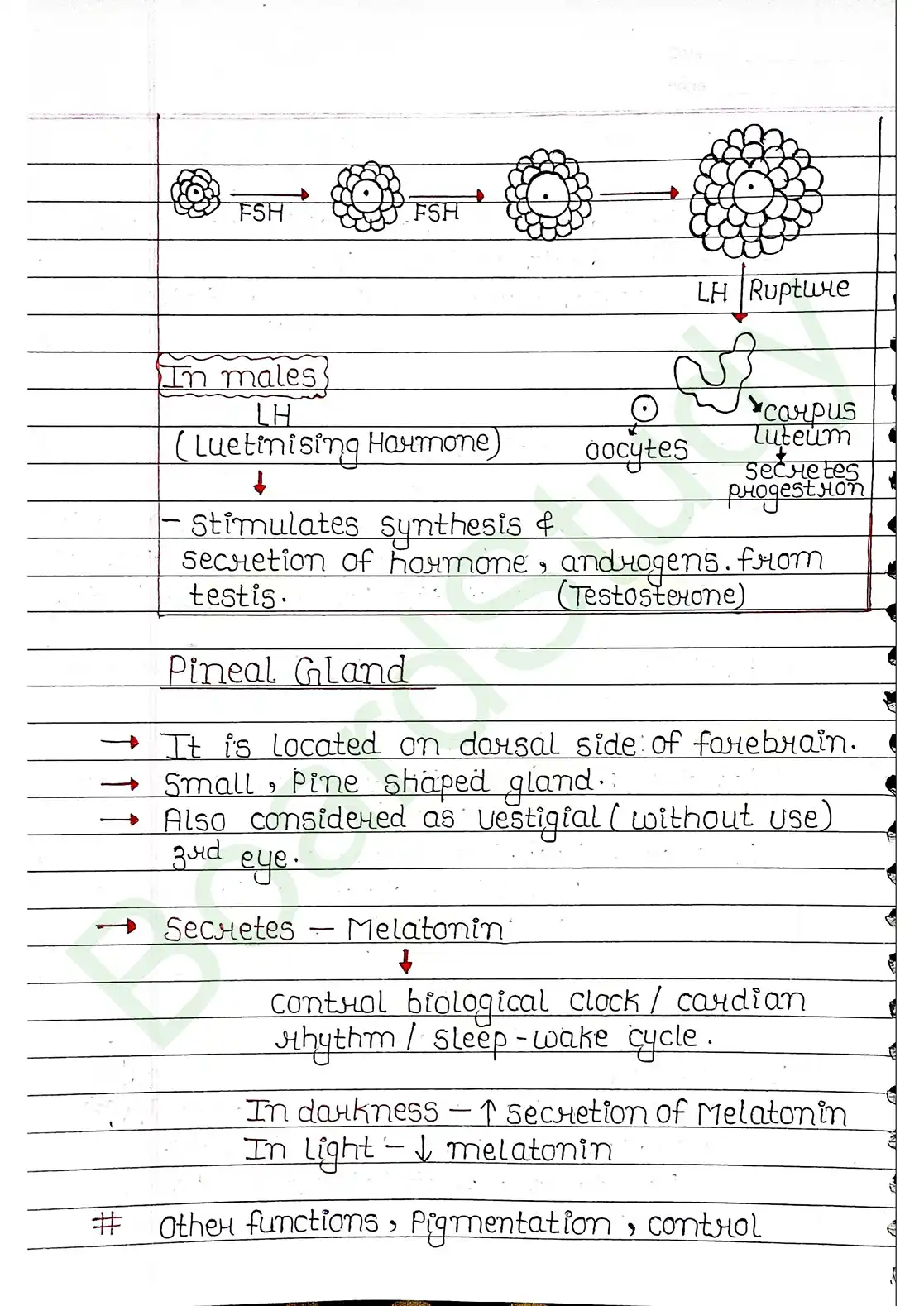 19. Chemical coordination & integration_page-0008