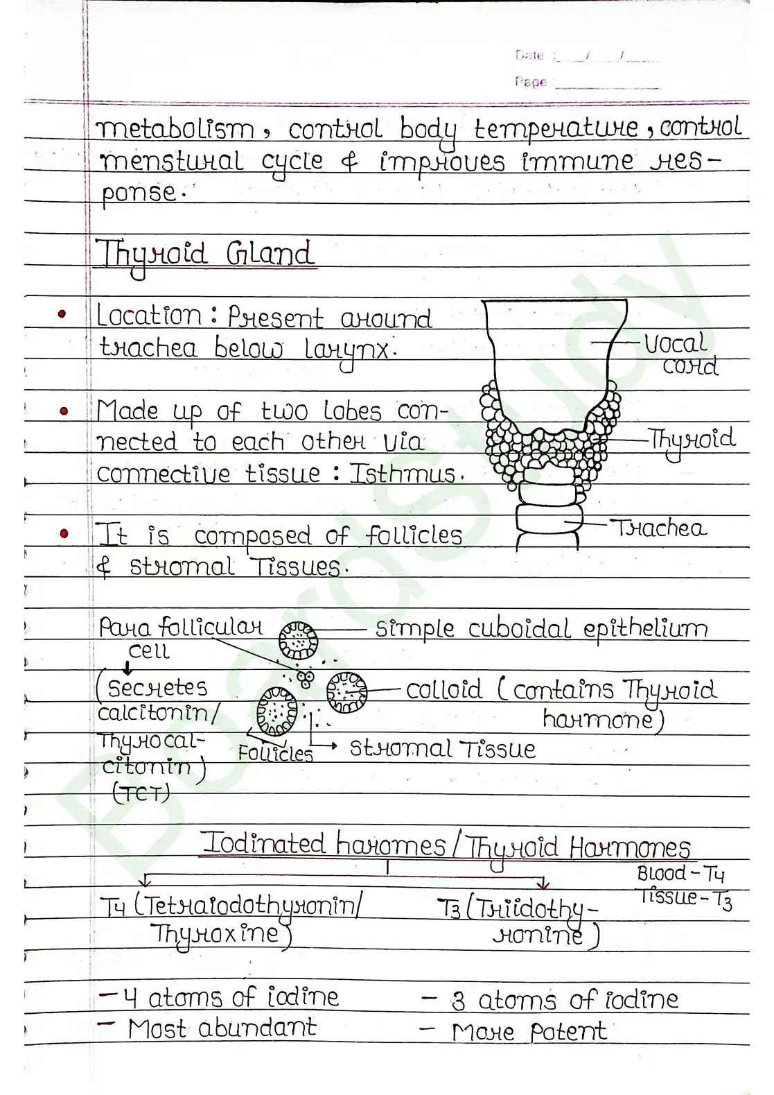 19. Chemical coordination & integration_page-0009