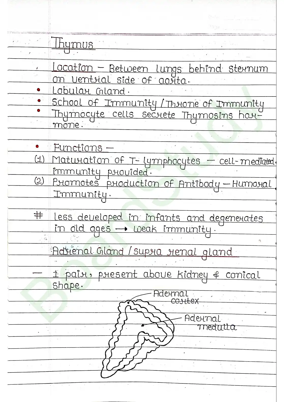 19. Chemical coordination & integration_page-0012