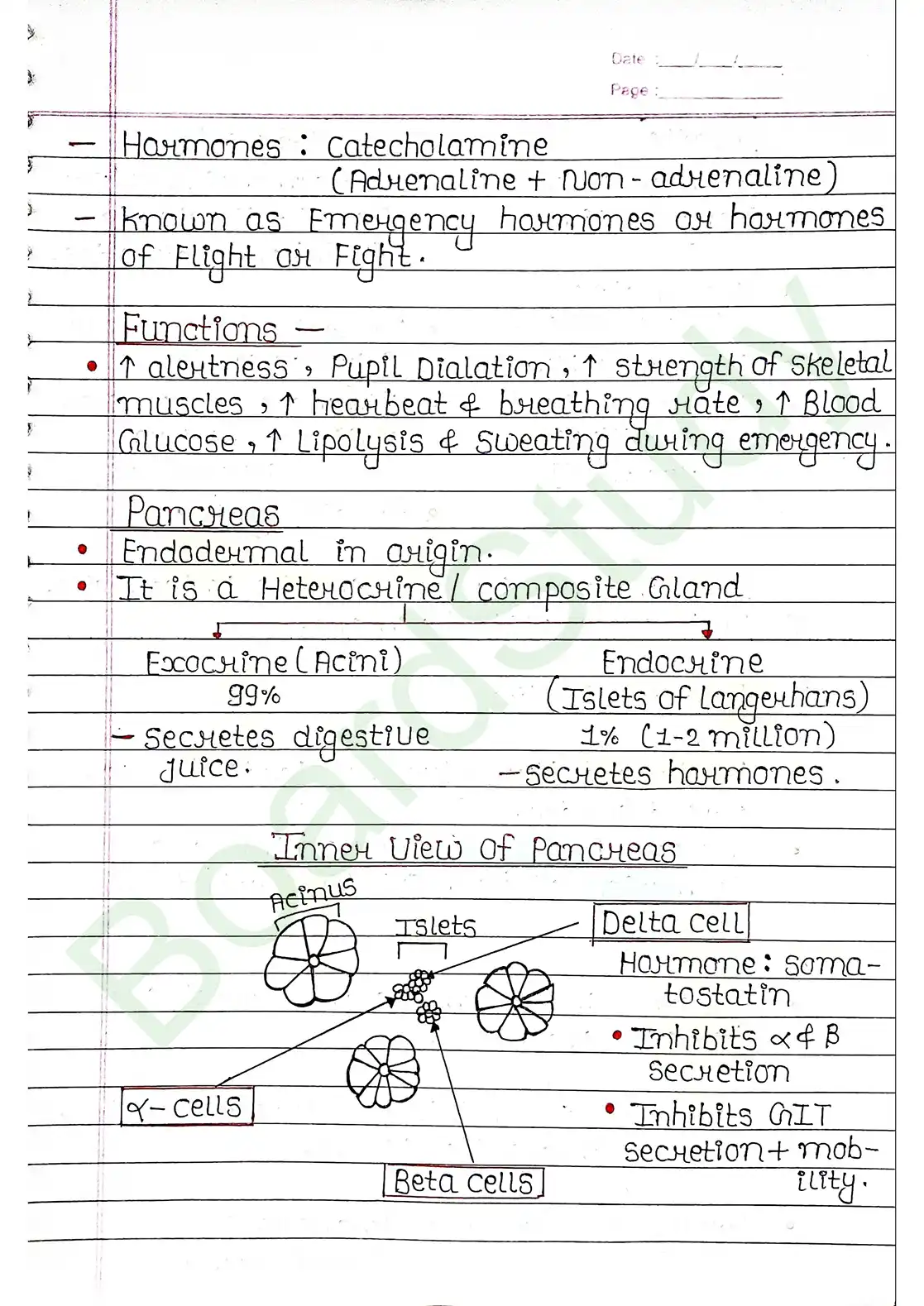 19. Chemical coordination & integration_page-0015