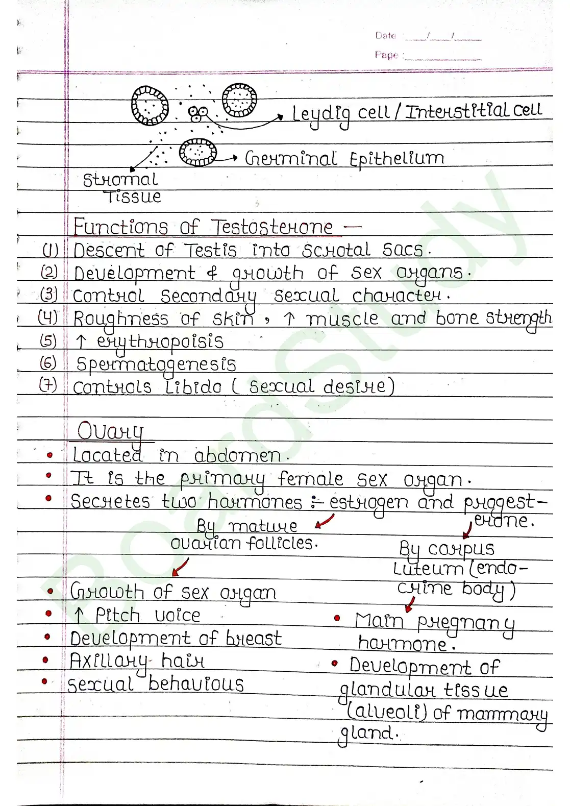 19. Chemical coordination & integration_page-0017