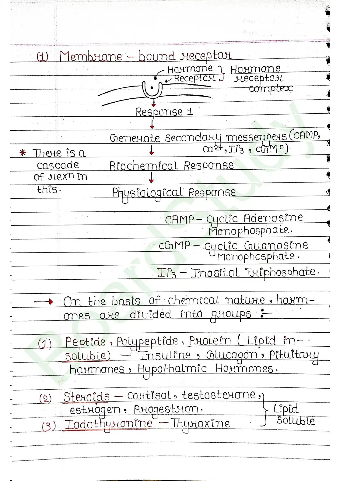 19. Chemical coordination & integration_page-0020