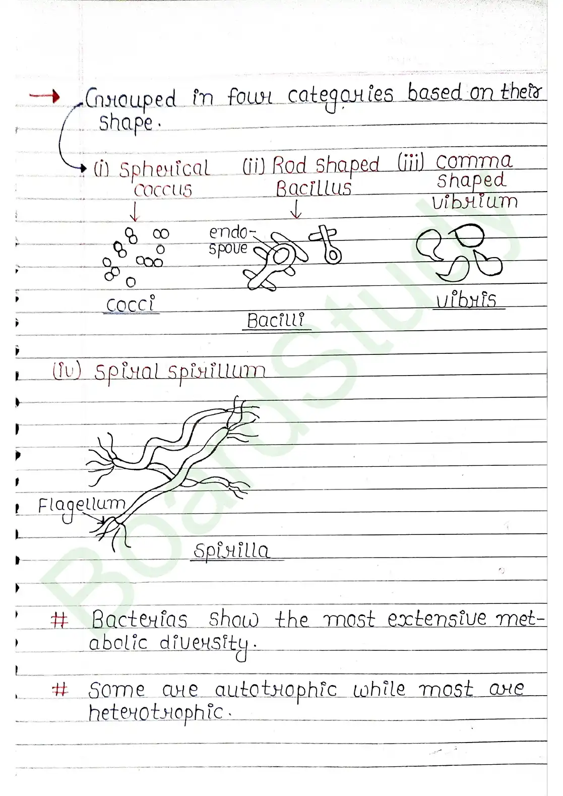 2. Biological Classification_page-0005