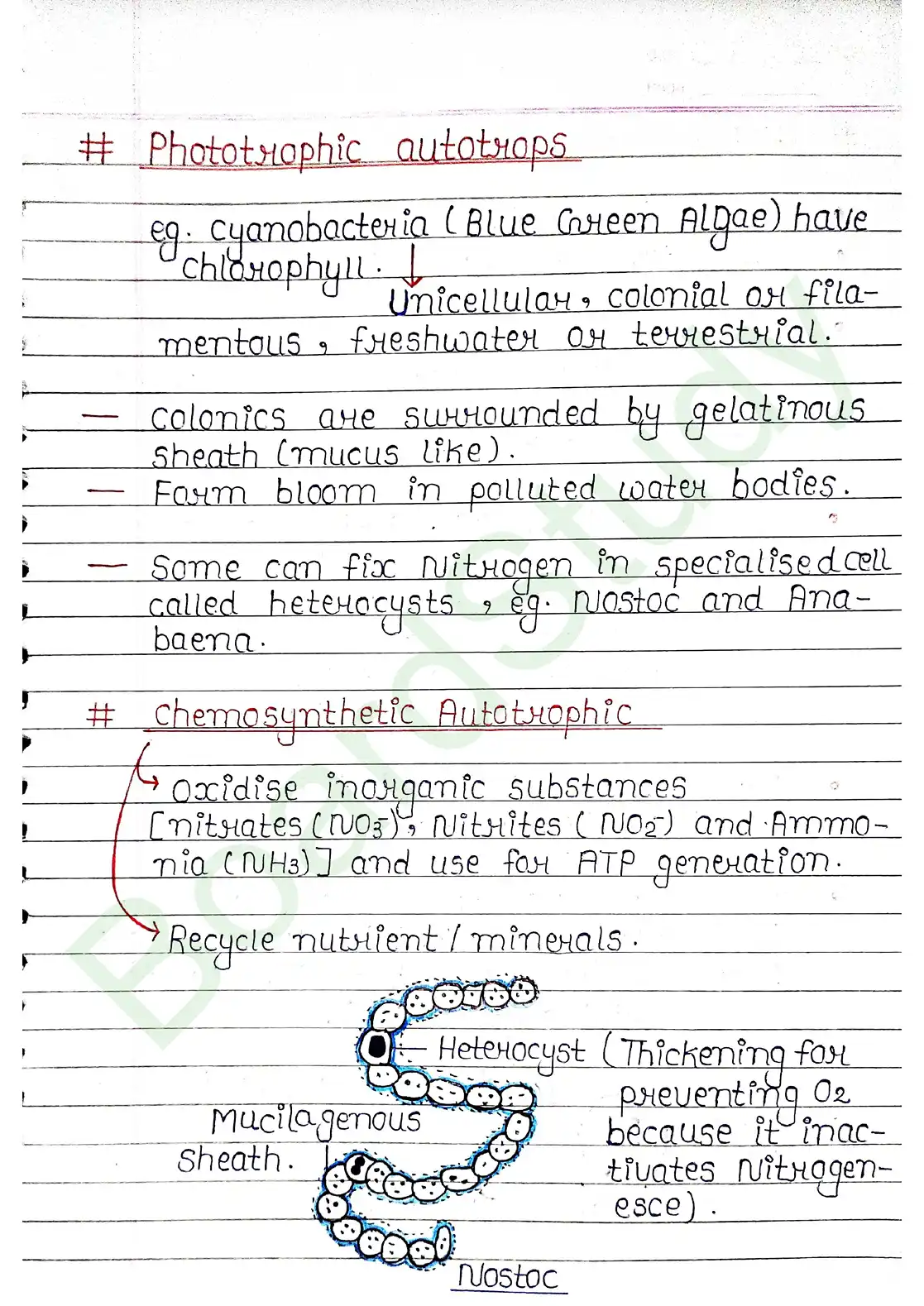 2. Biological Classification_page-0007