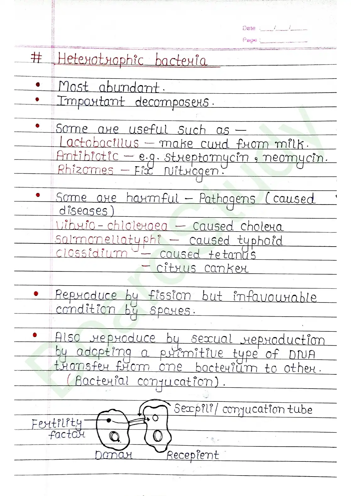 2. Biological Classification_page-0008