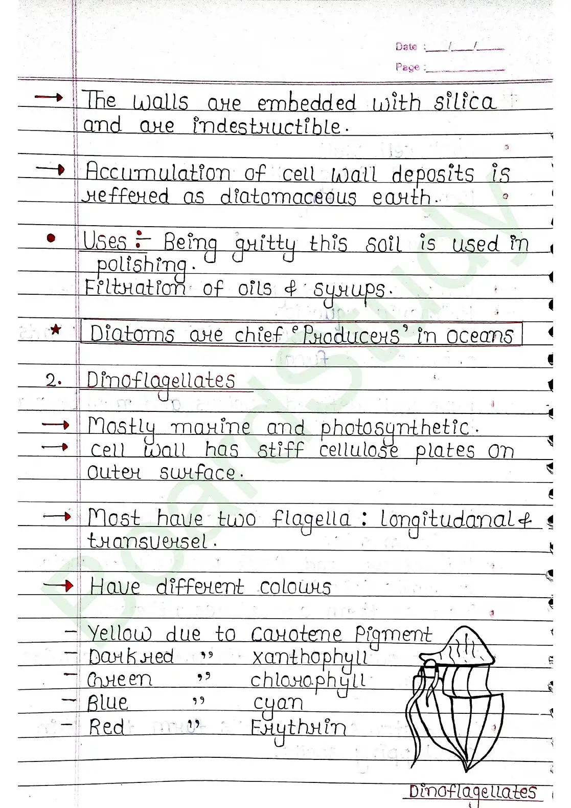 2. Biological Classification_page-0010